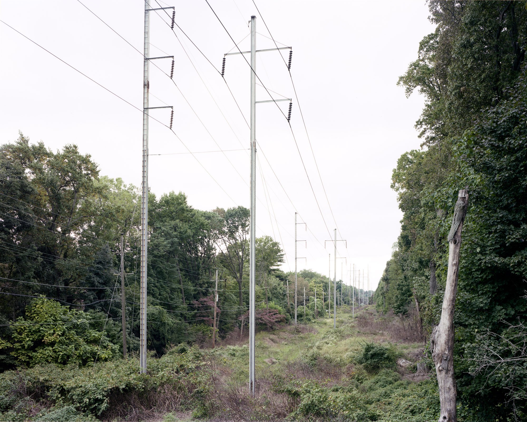 2012-s1.jpg