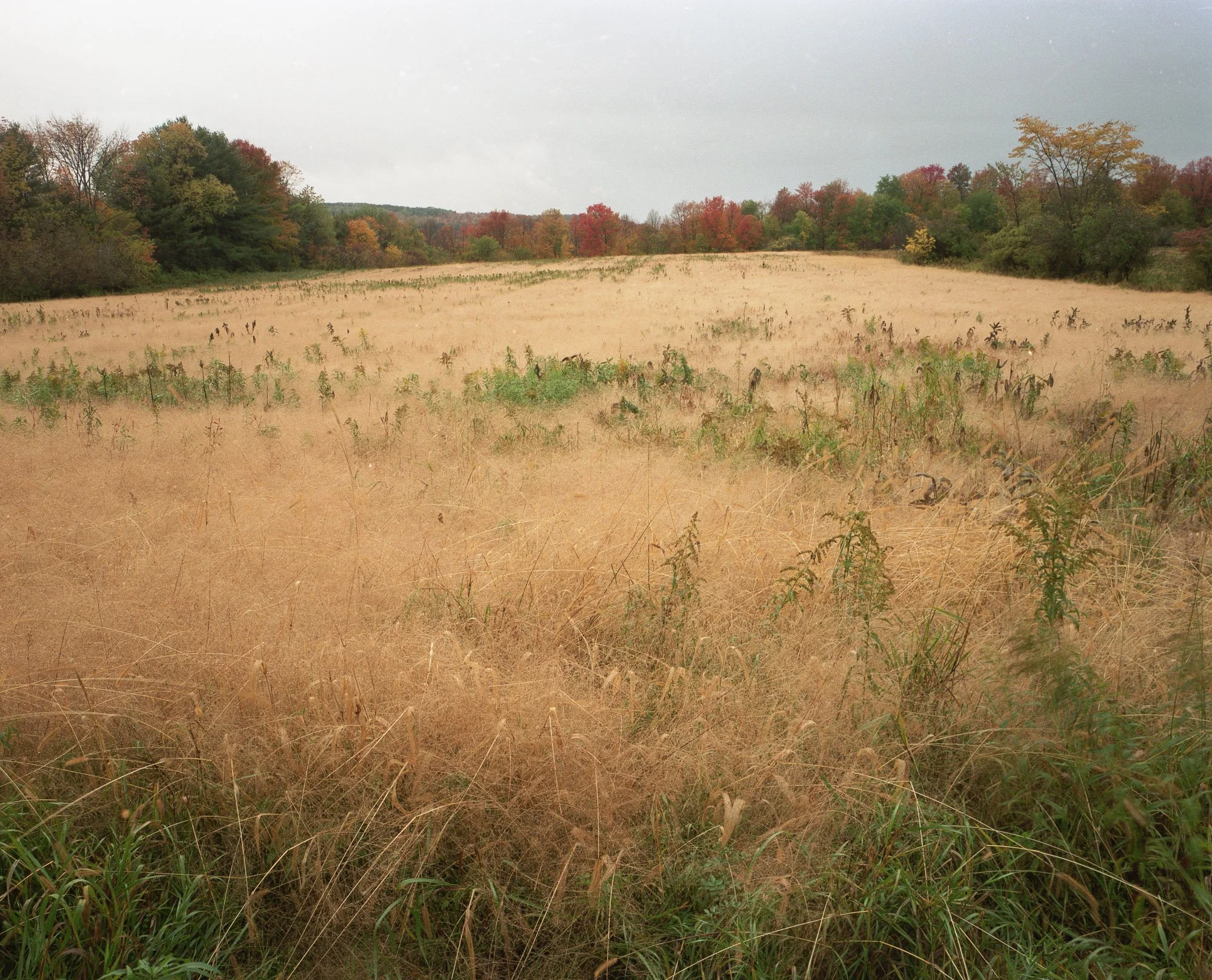 img20220508_17145404.jpg