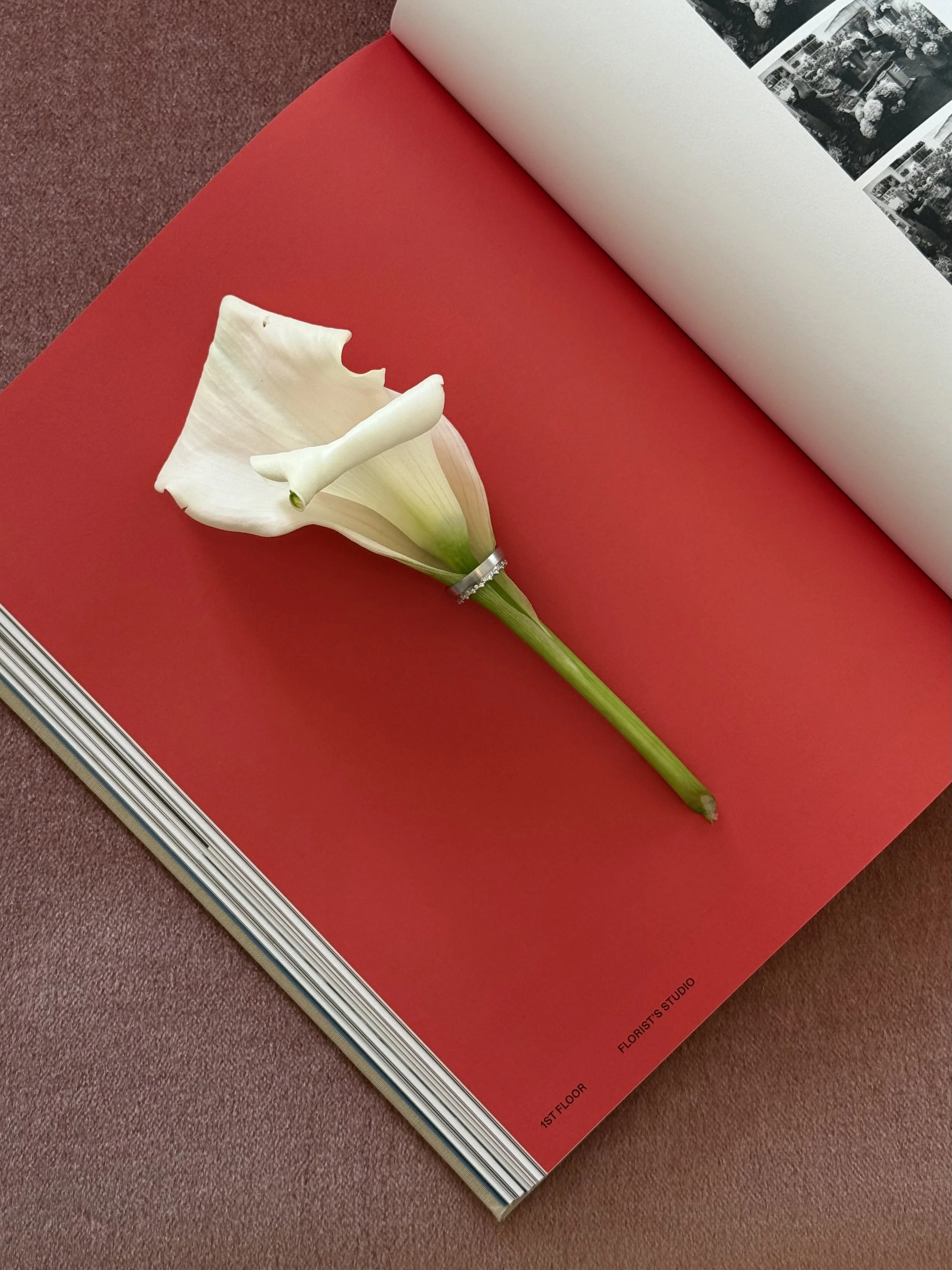 White calla lily with a green stem lying on a colorful open book, which has a red page and black text that reads "1st floor," and part of a black-and-white photo spread on the opposite page.