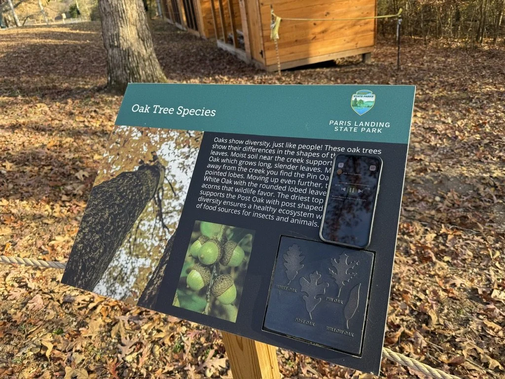 Bronze Tactile - Tennessee State Parks - Oak Tree Leaves, Special With Phone Audio.jpeg