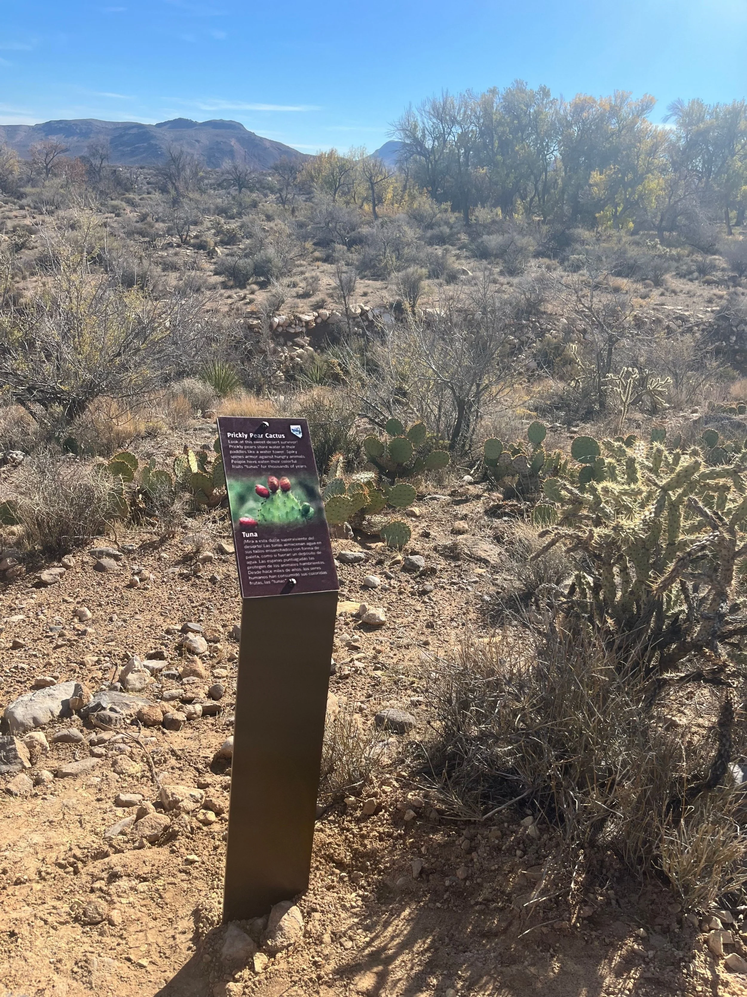 Turnkey Trailside Interpretive Sign—NVSP Prickly Pear .jpg