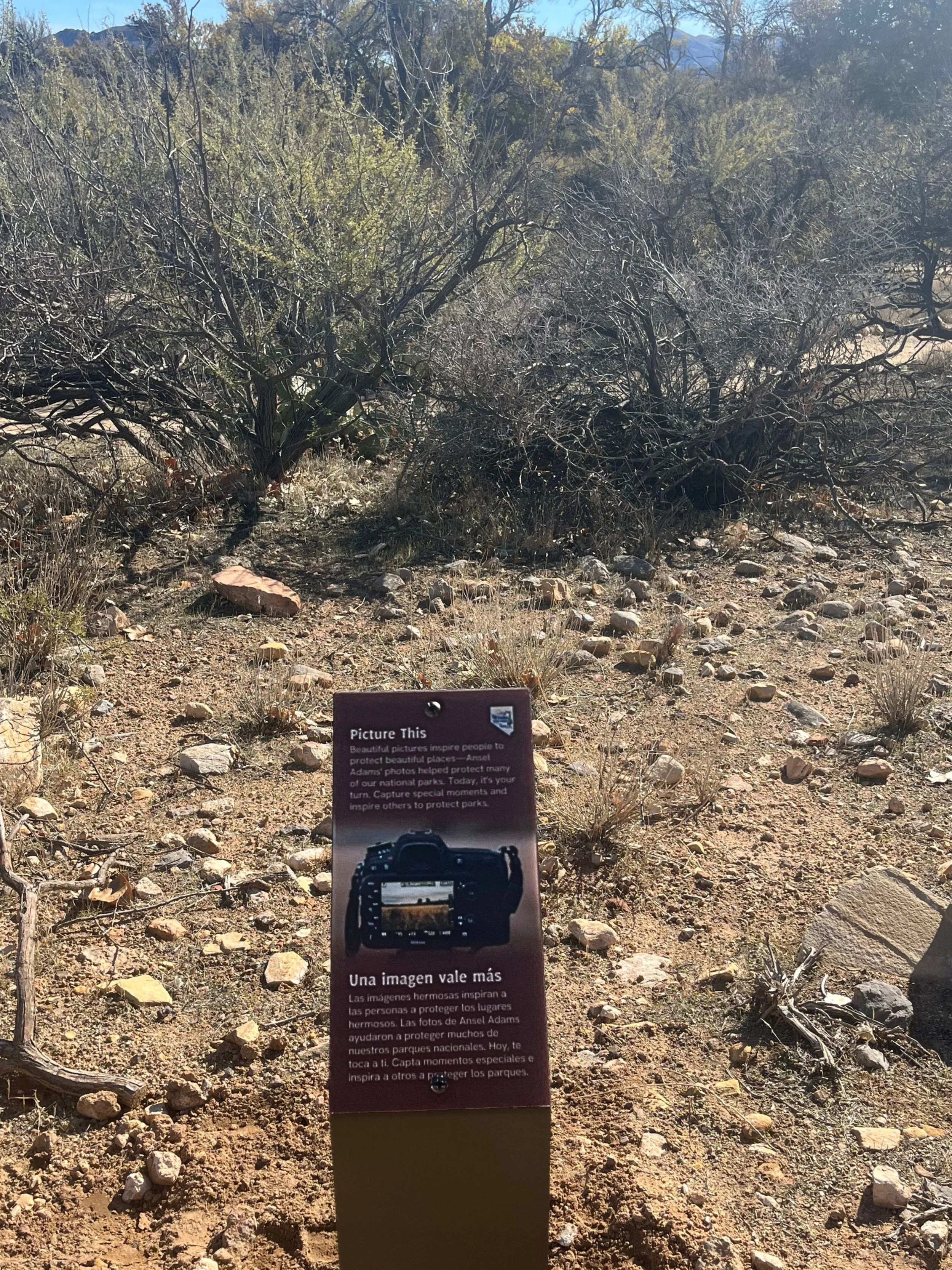 Turnkey Trailside Interpretive Sign—NVSP Picture This .jpg
