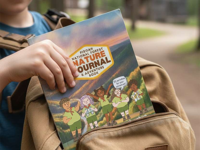 Pisgah National Forest—Naventure