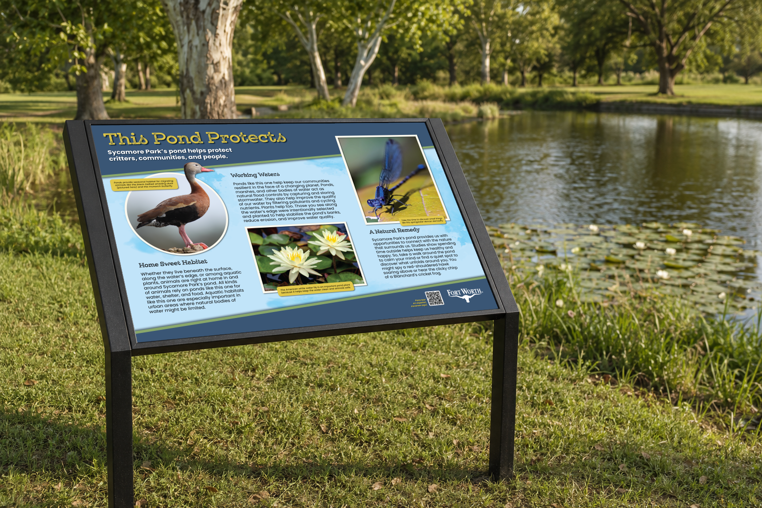 Custom Signage, Fort Worth Sycamore Park—This pond protects—Mock-up (1).png