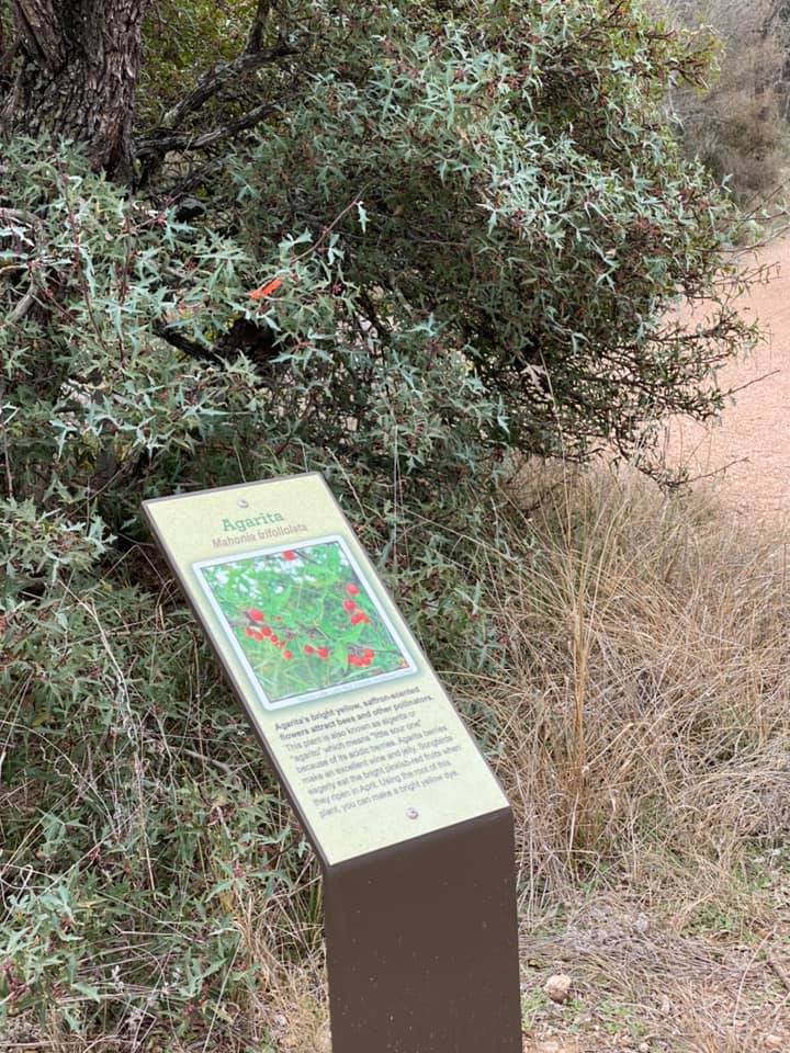 Trailside IDs and simple professional solutions to nature-trail signage