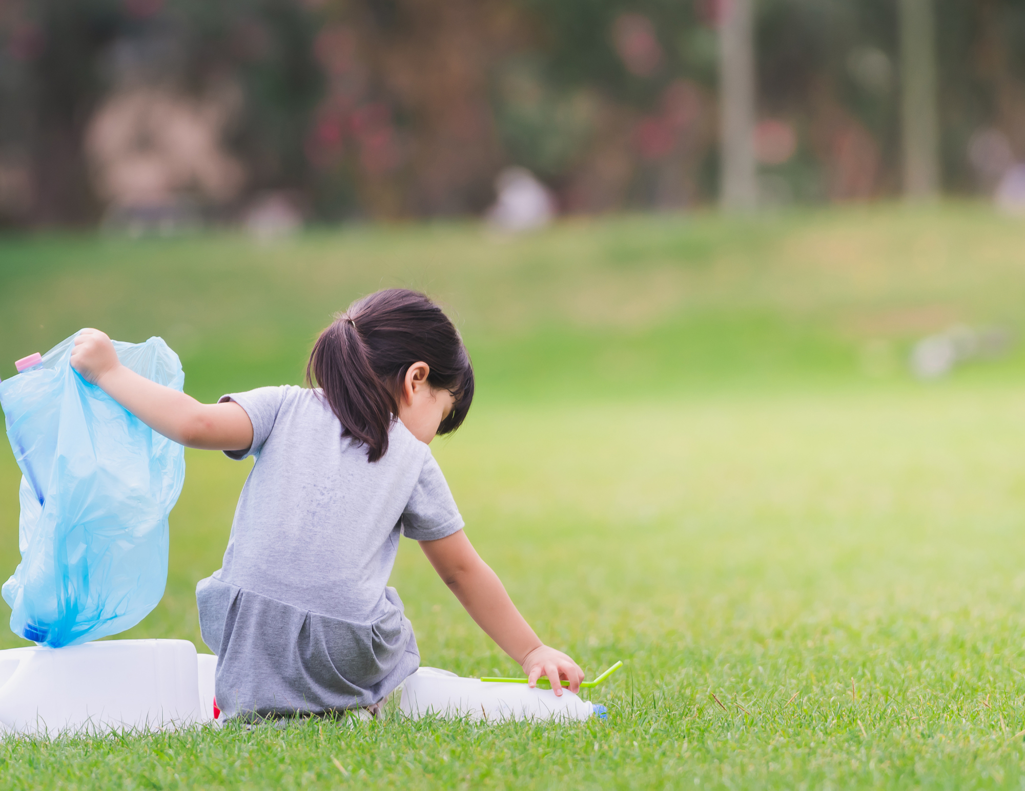 The Visitor Experience Enhance Visitor Engagement Today