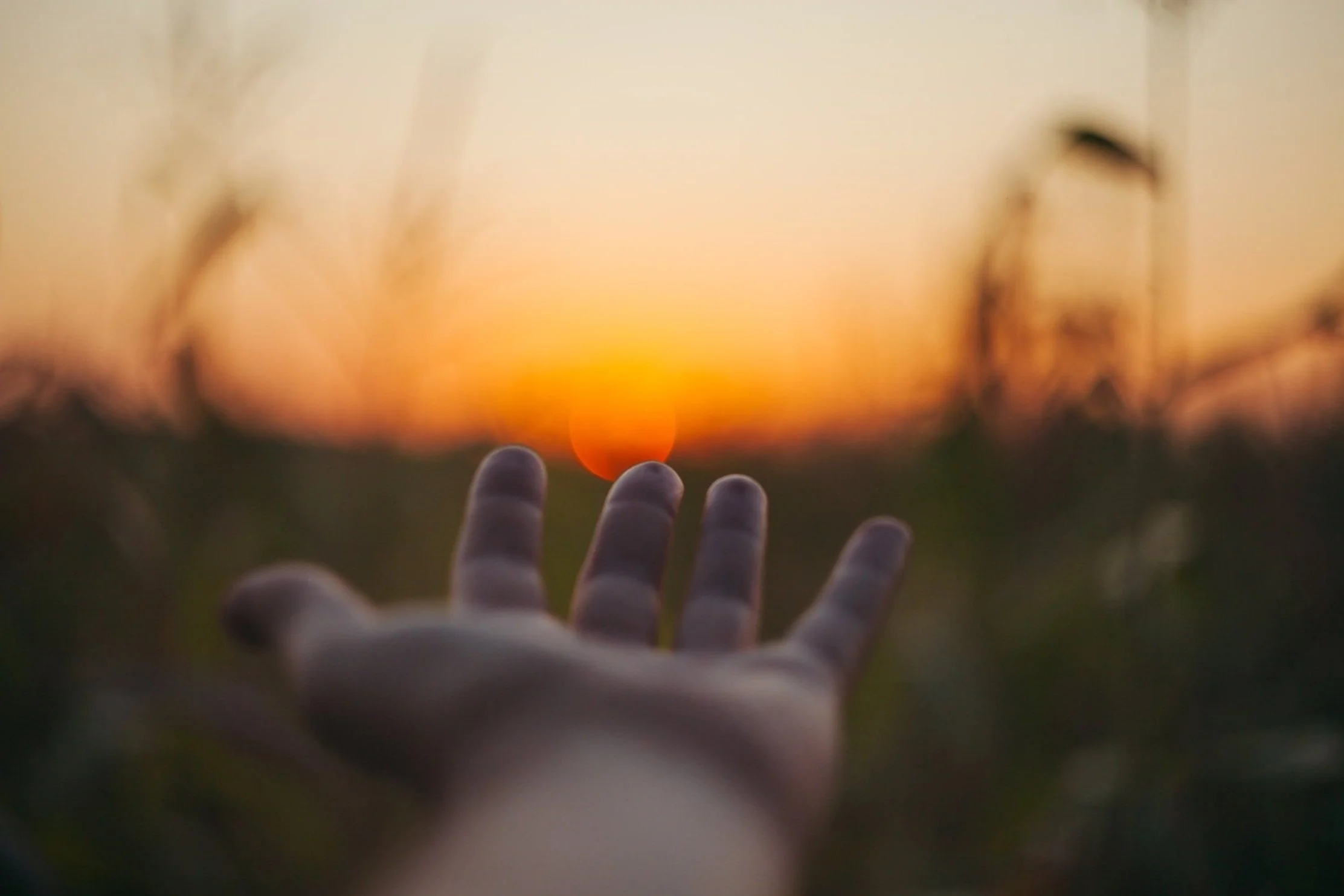 A person's hand reaching out towards the sunset with blurred grass and trees in the background.