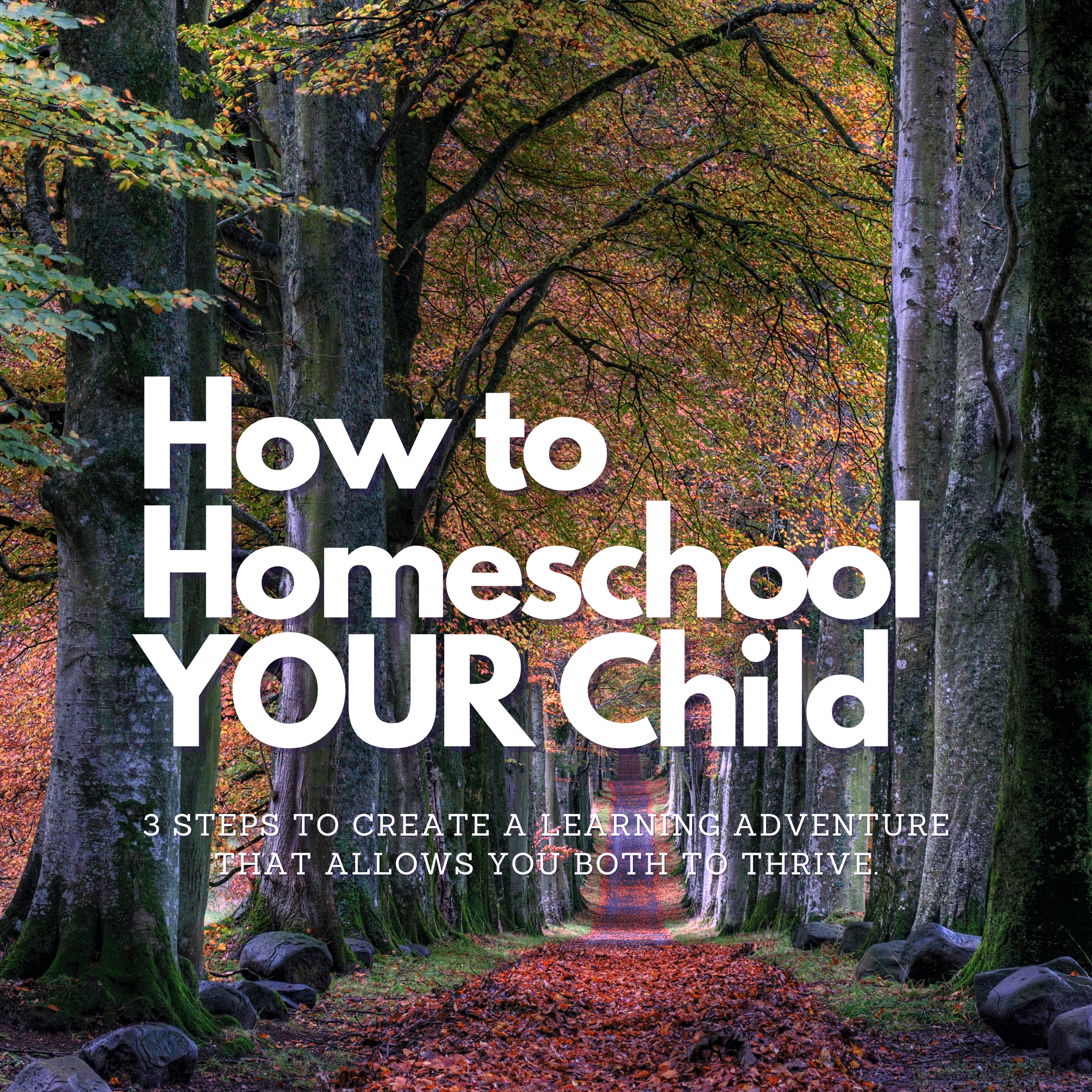 How to Homeschool YOUR Child