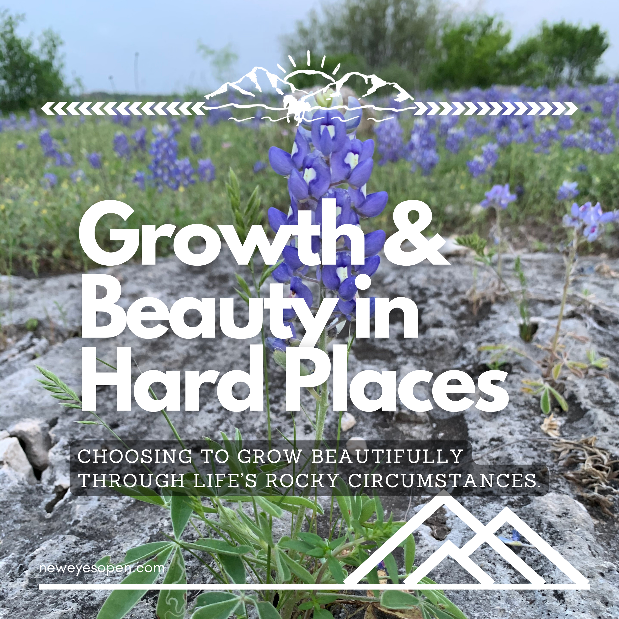 Growth & Beauty in Hard Places
