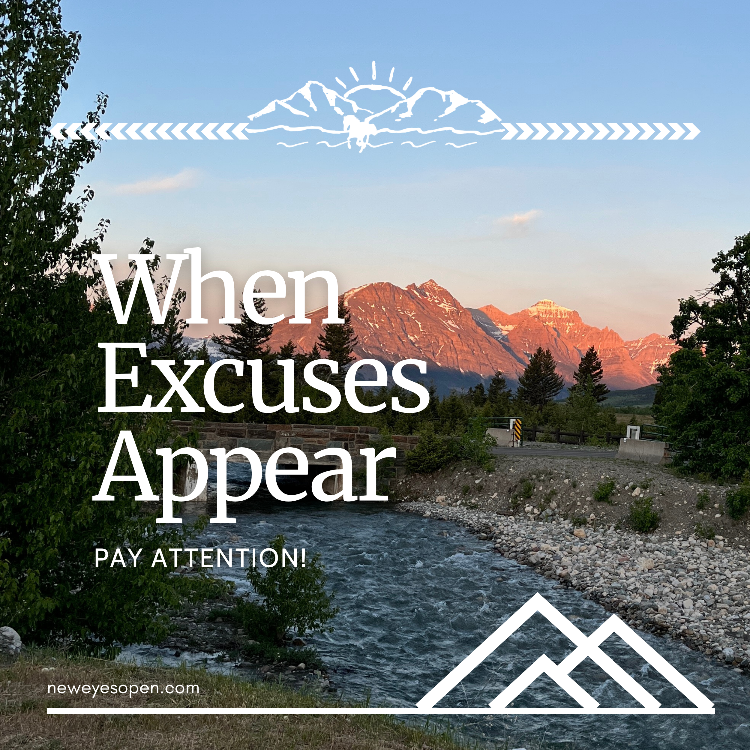 When Excuses Appear, Pay Attention