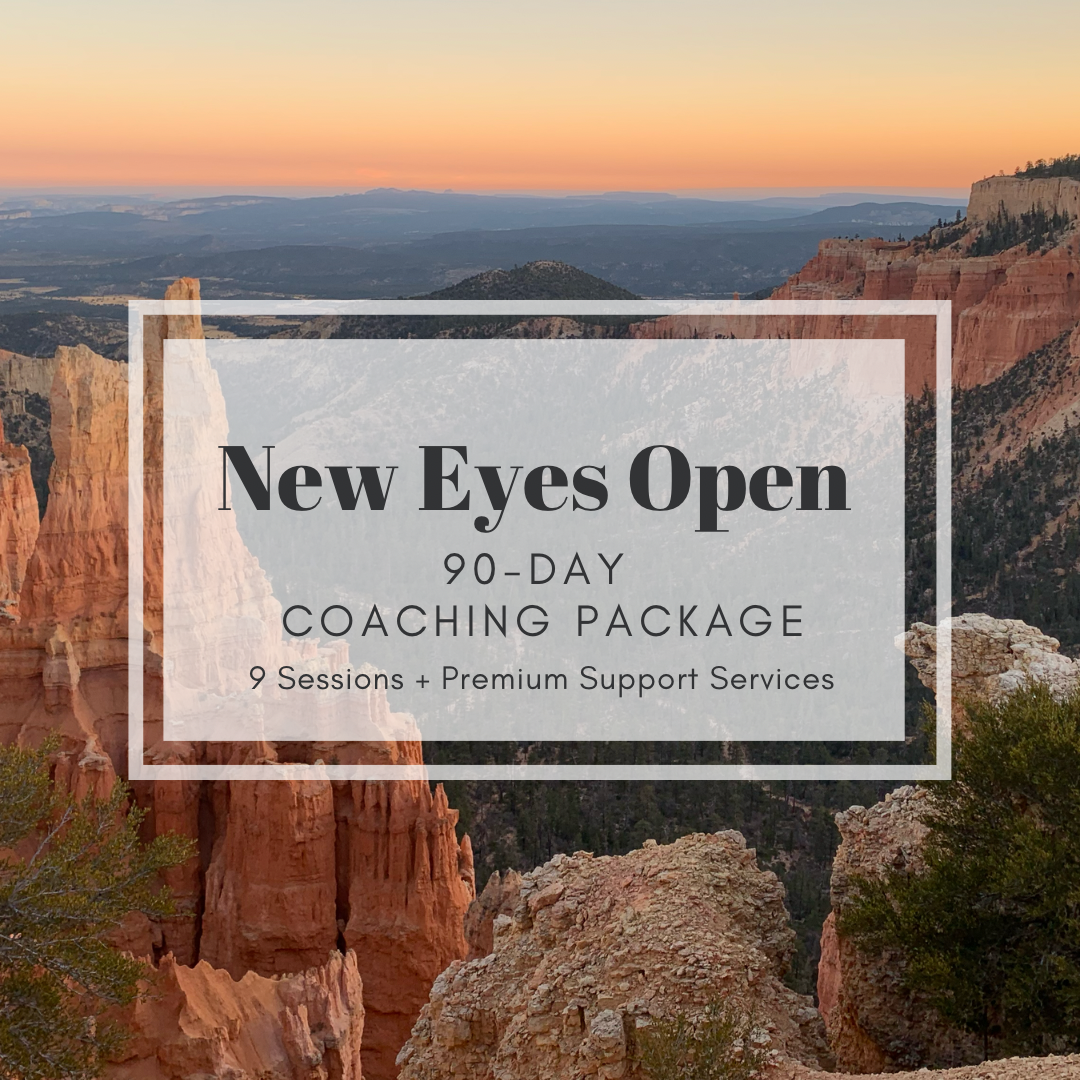 90DayCoaching Package Thumbnail Pic.png