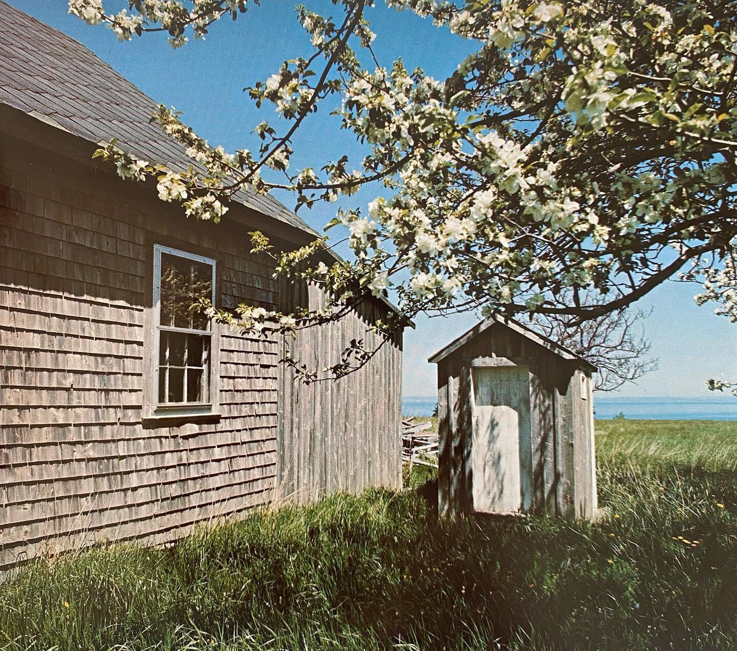 Image taken from a favorite book, &ldquo;Outhouses of the East&rdquo;, which documents through spare and loving photos the outhouses populating the outer reaches of coastal Nova Scotia. It records not only these modest structures of necessity, but al