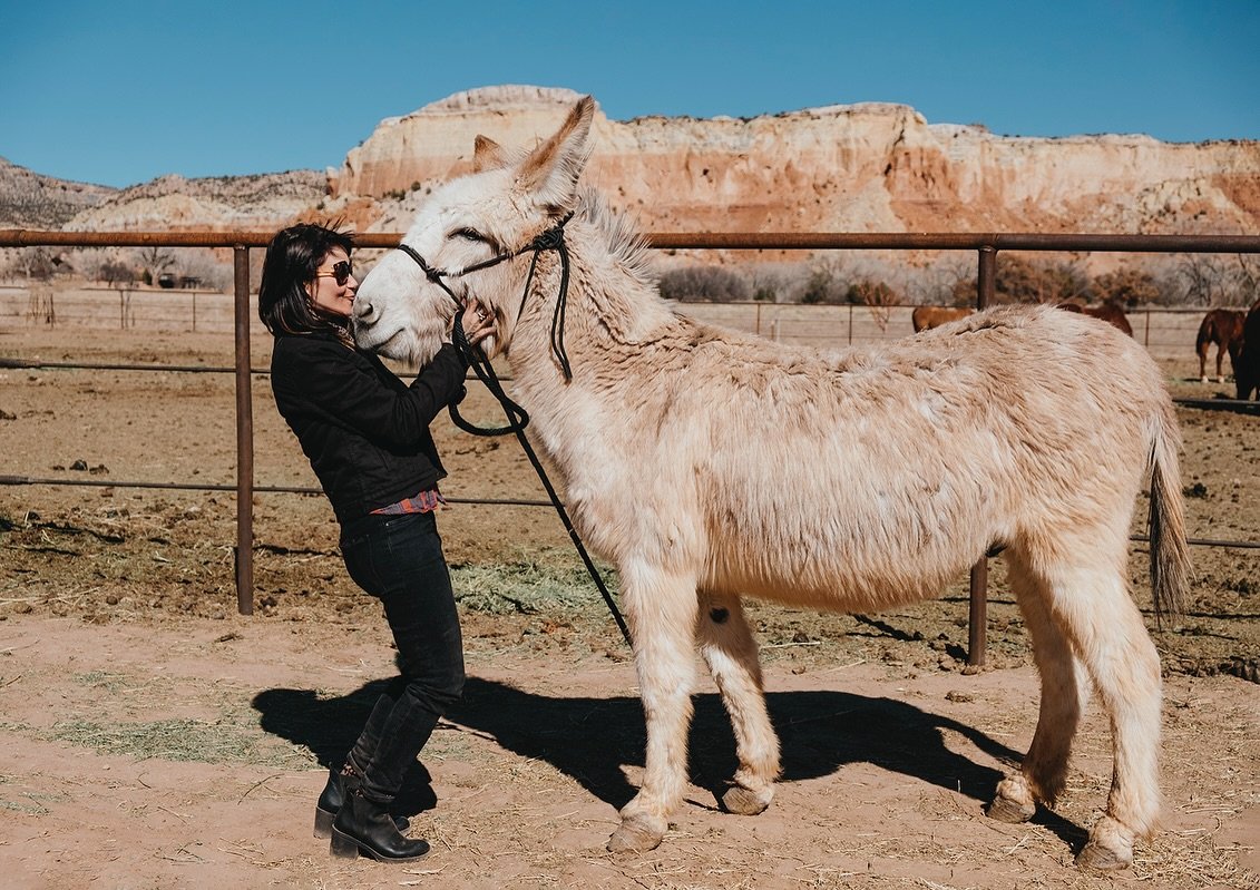 ✨Dreaming of Taos Adventures✨