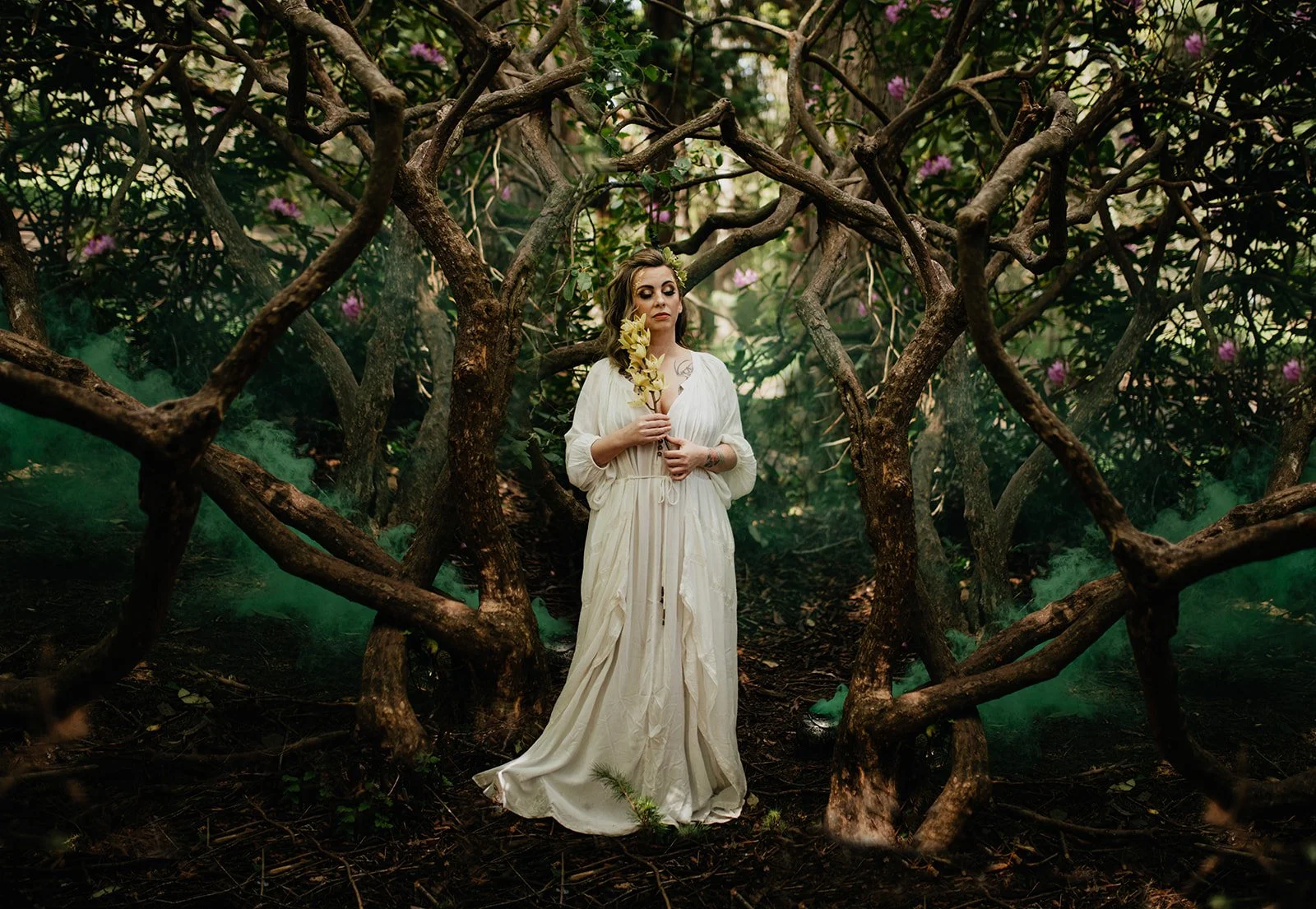 My Favorite Seattle Apothecary - Seattle Branding and Herb Loving Photographer