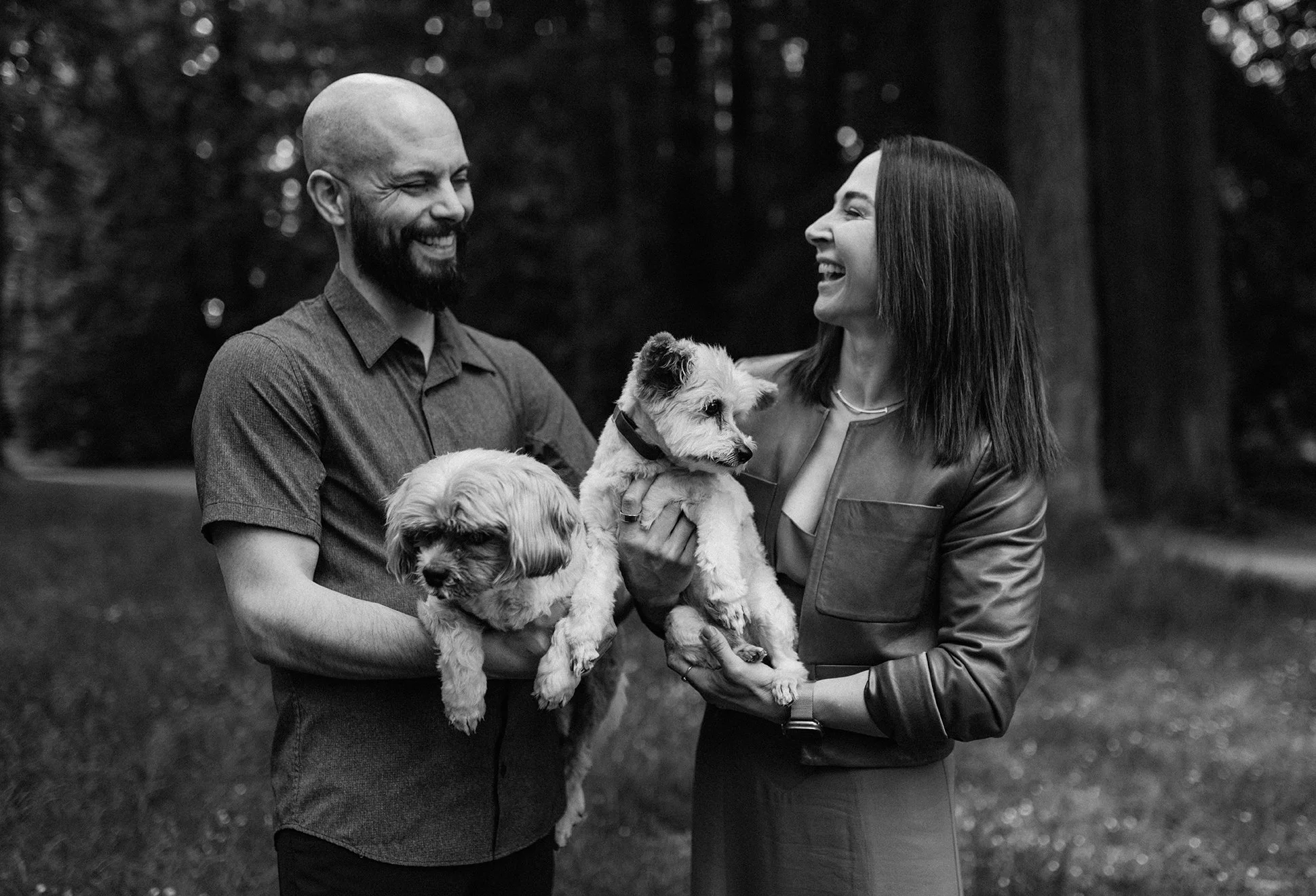 Family Photos With Dogs Seattle 