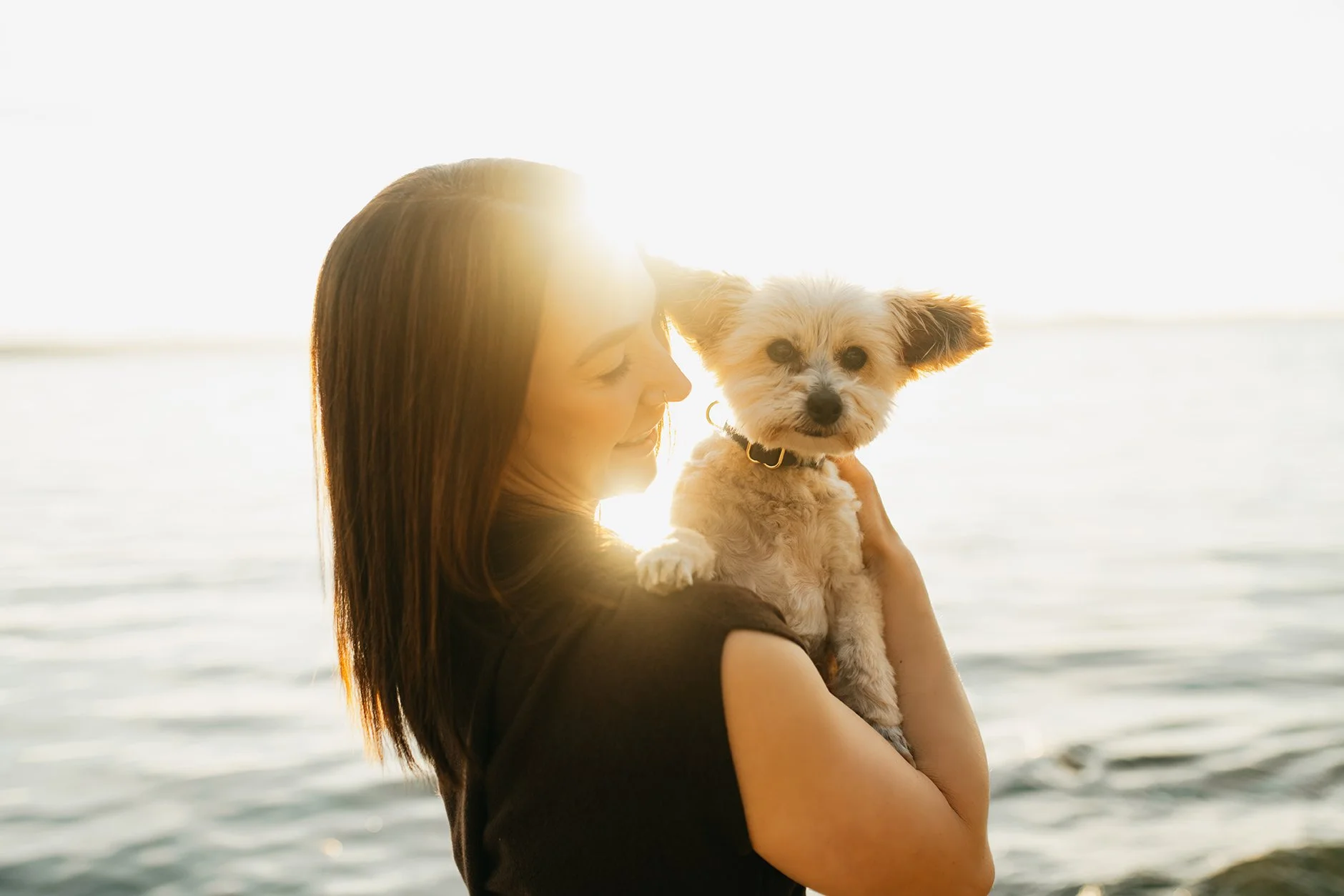 Now Offering One Hour Sessions at Lincoln Park West Seattle - Family Photoshoot With Dogs