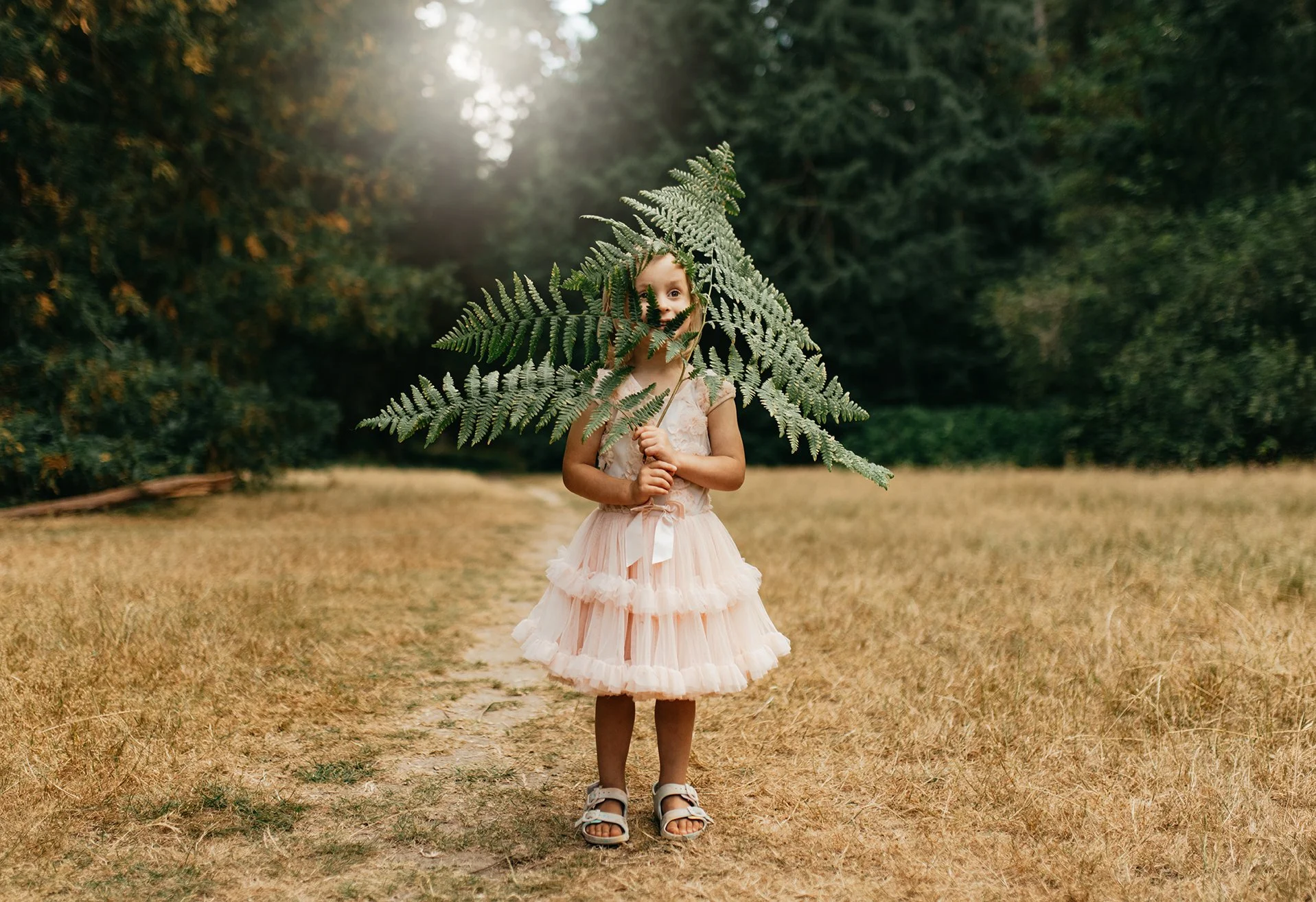 Seattle Family Photographer 