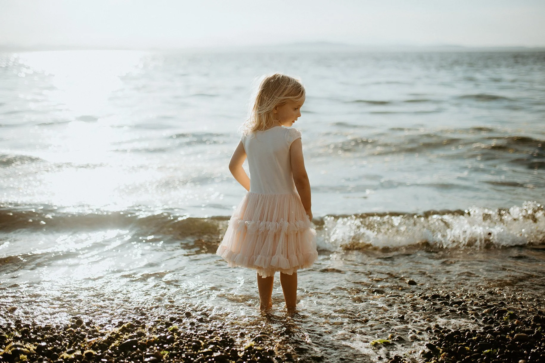Lincoln Park Family Photoshoot - Forest and Beach 
