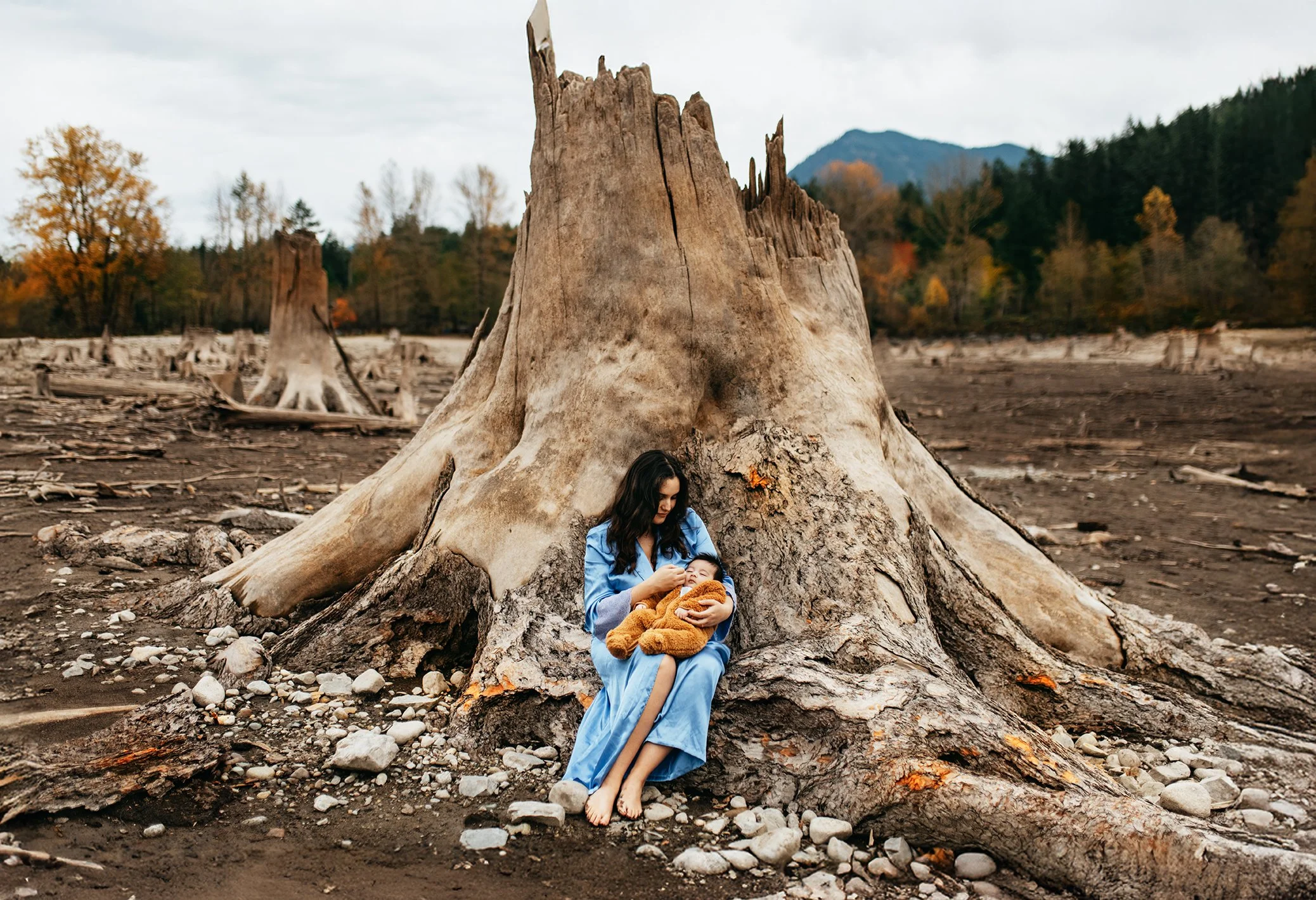 Seattle Photographer