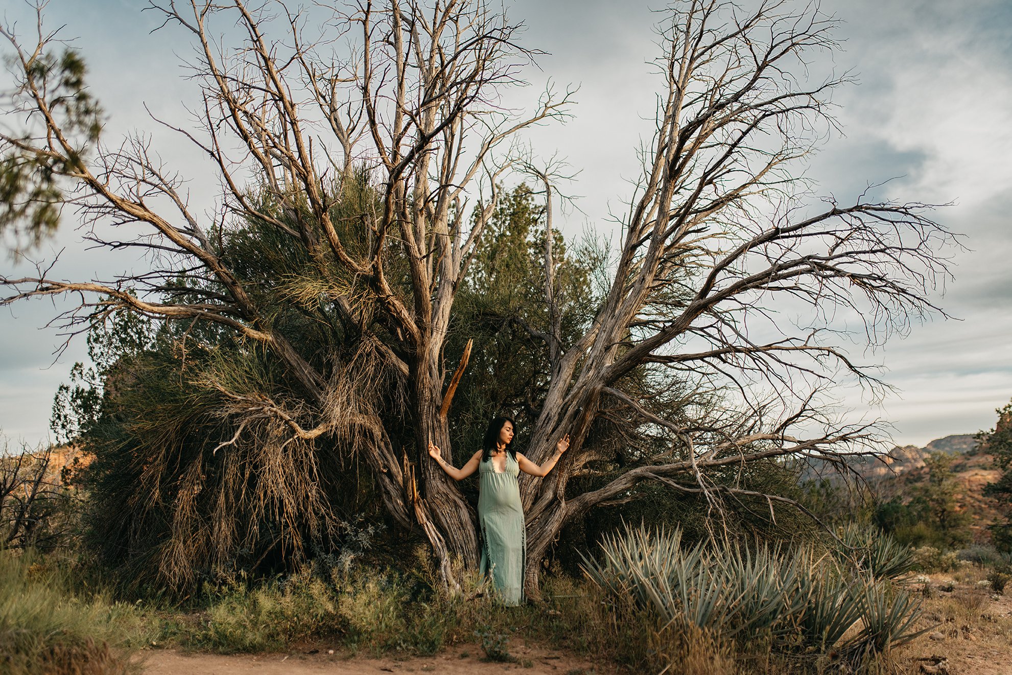 Seattle newborn Sedona Photographer