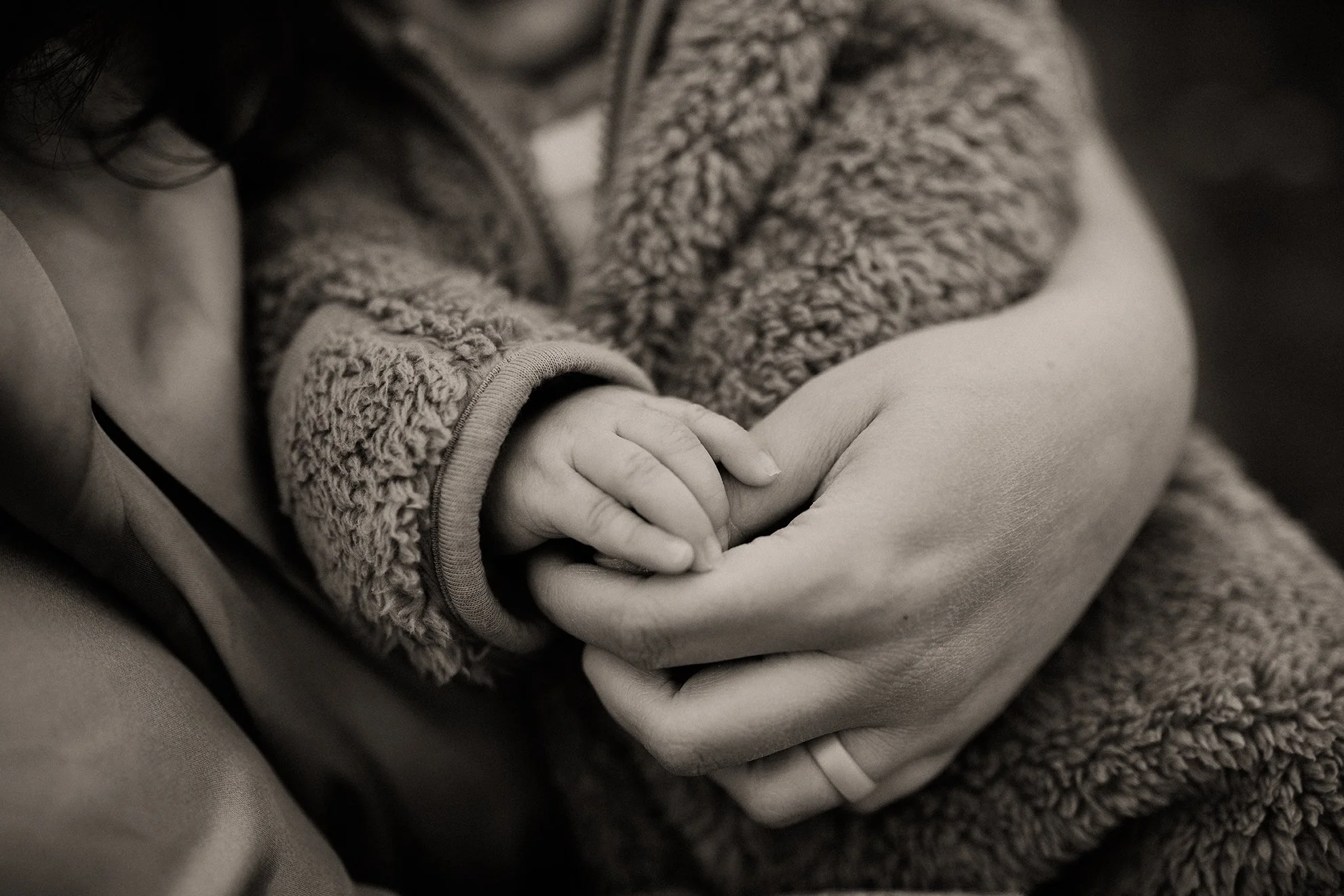 Washington Newborn Photographer