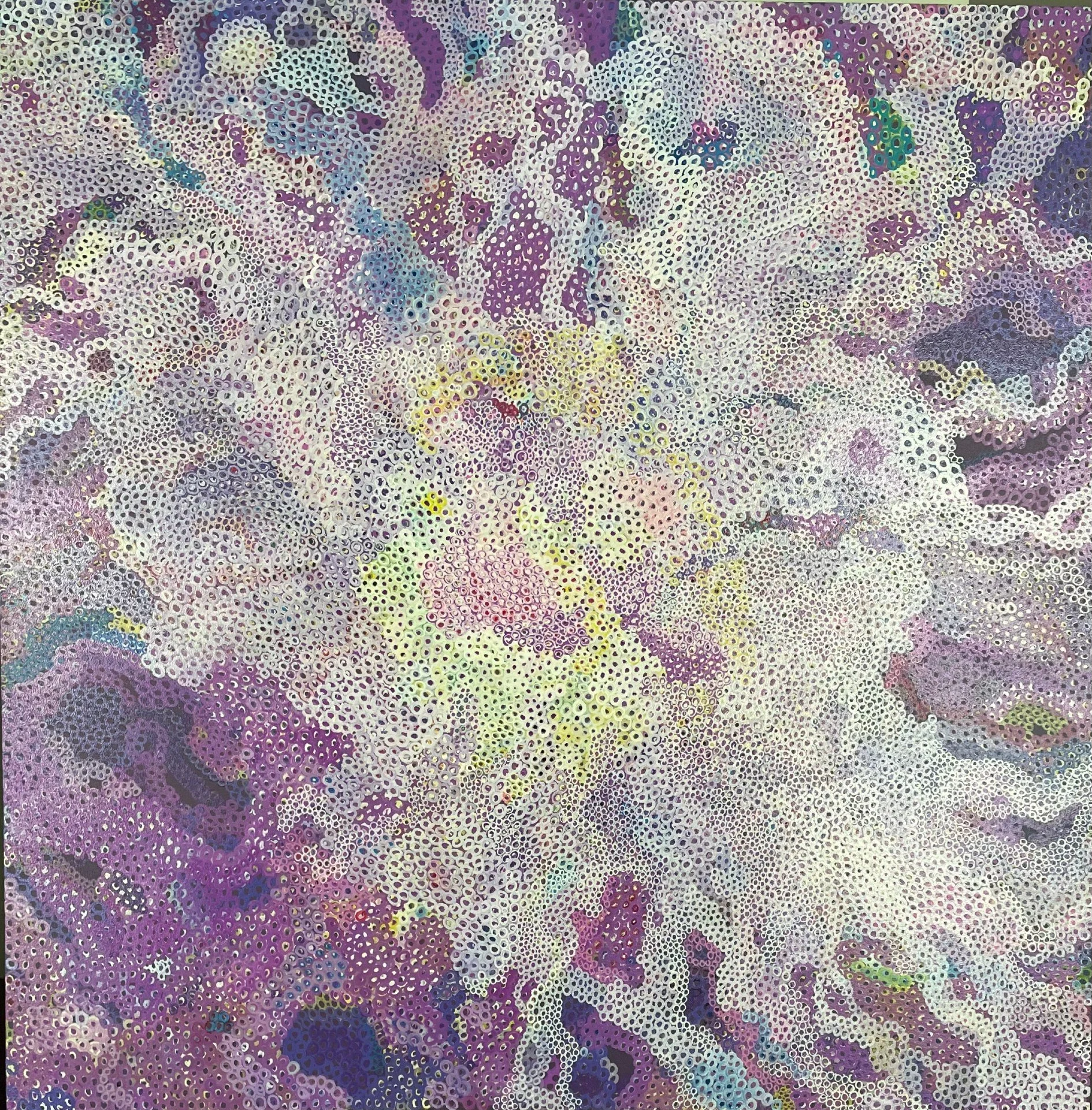 Dreaming of Scotland (Heather); Claudia Ravaschiere