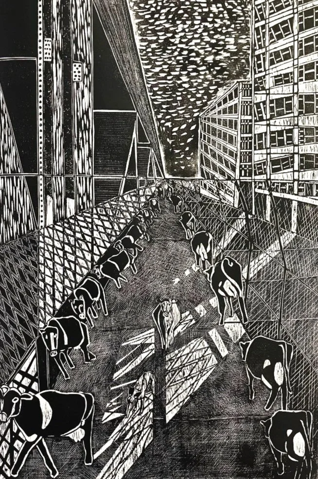 Visible: 2024 Biennial