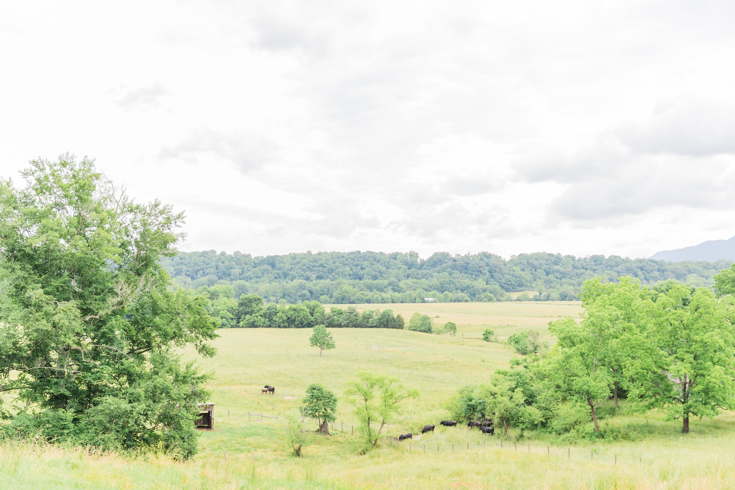 Gallery — Shiloh Ridge Venue