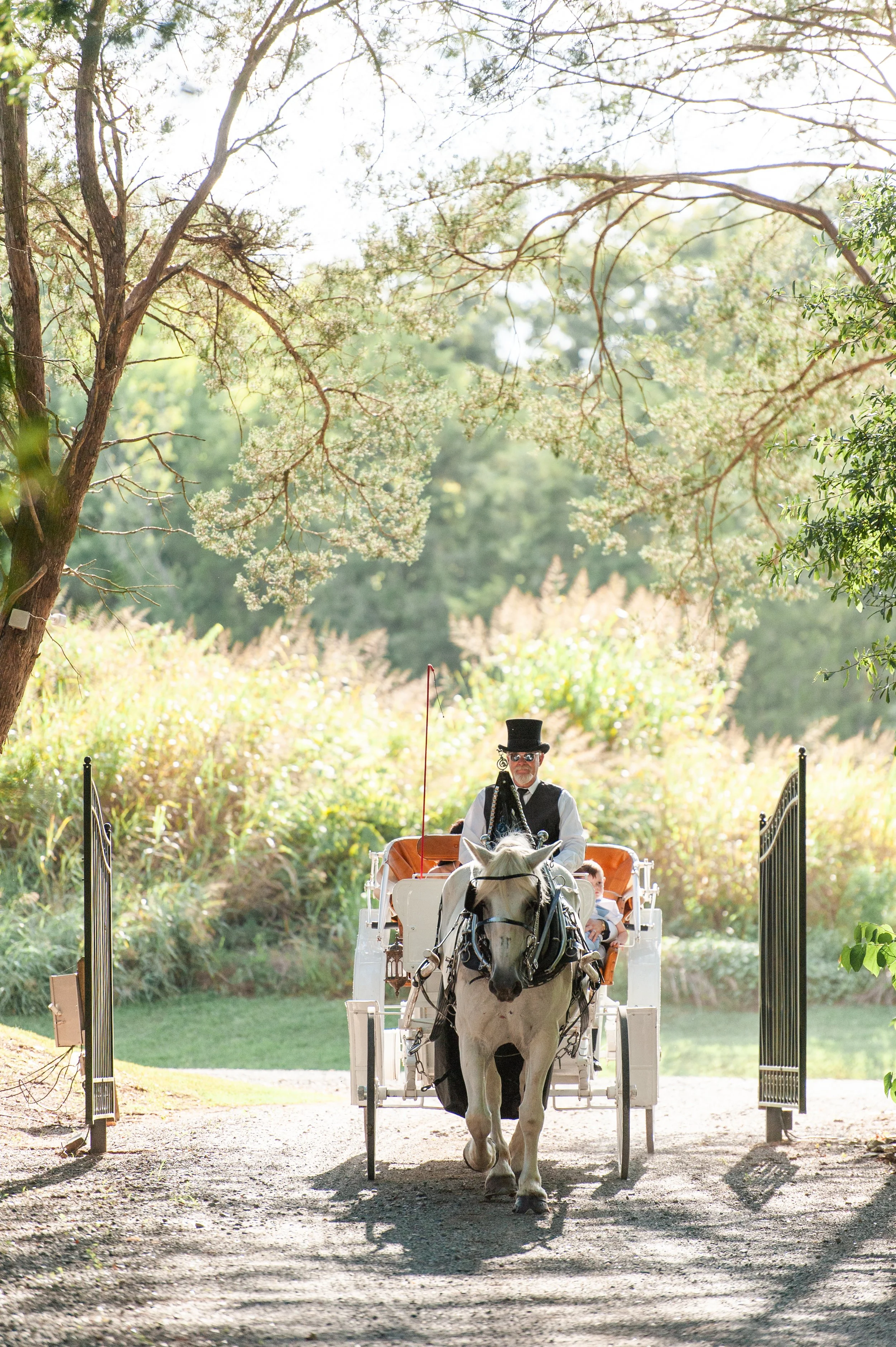 A man dressed in vintage attire, including a top hat, riding a horse-drawn carriage through a park or garden, with trees and greenery in the background.