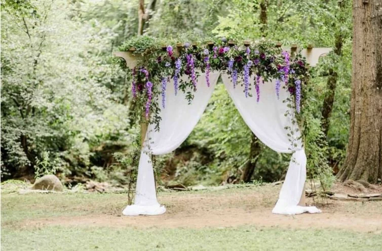 Purple Arbor.JPG