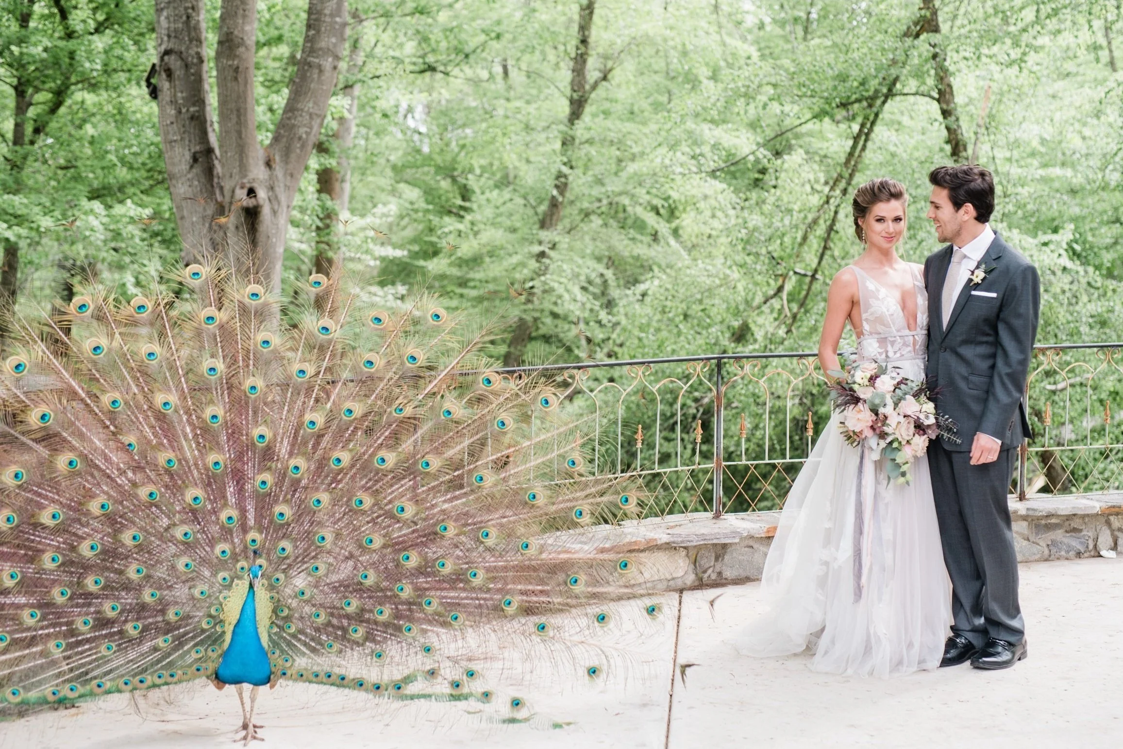 HOMEPAGEPHOTO1_AmyKoloPhotography_7.jpg