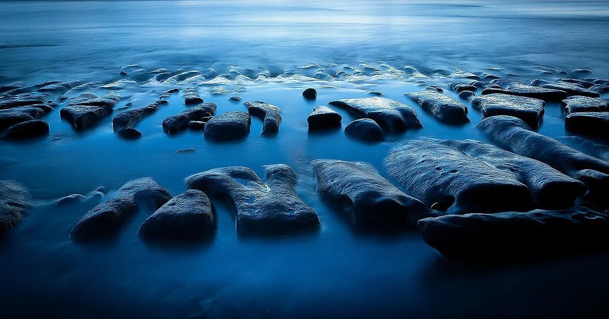 Midnight Reef, Carlsbad