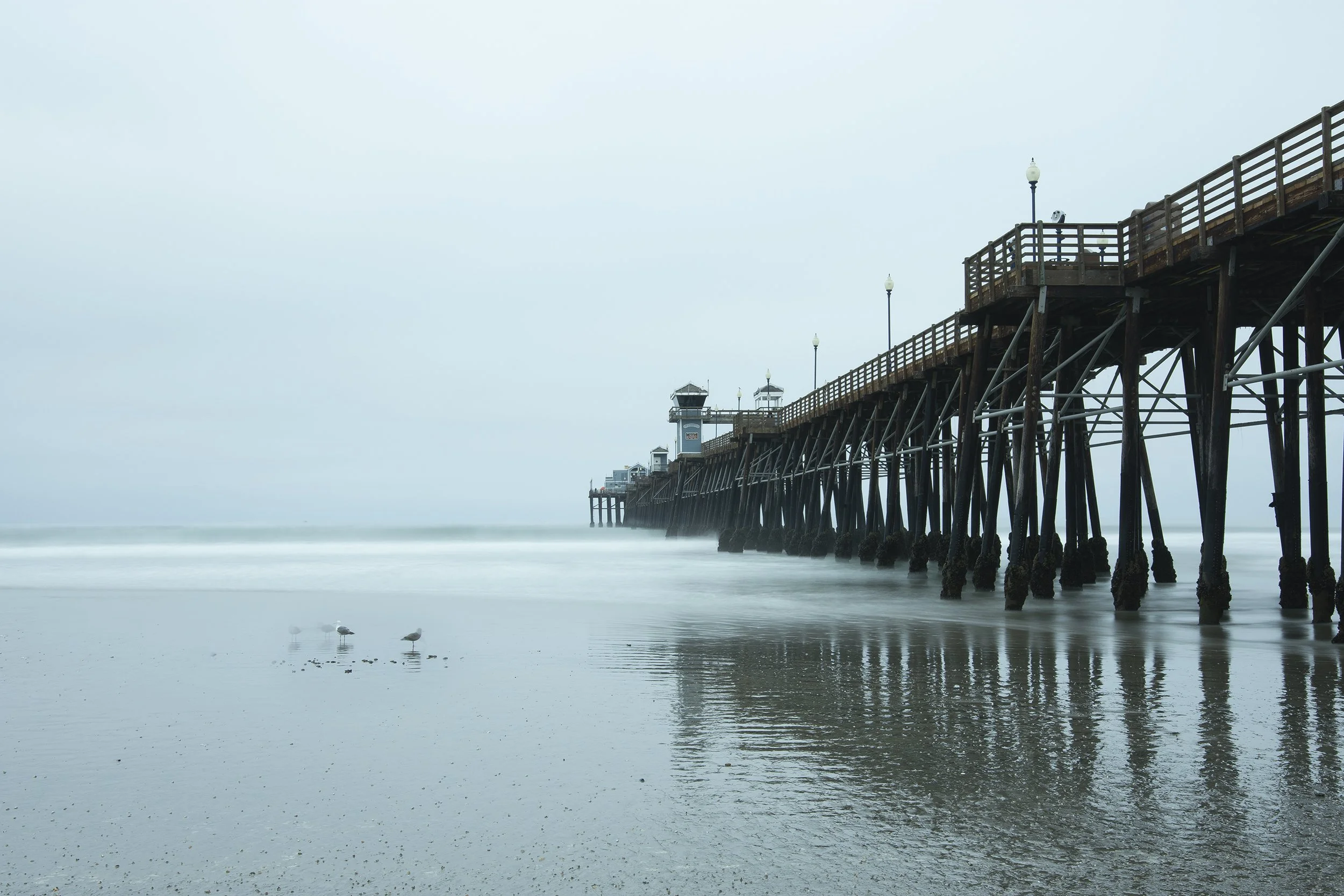 _GMC3852 Web_11Mp.jpg