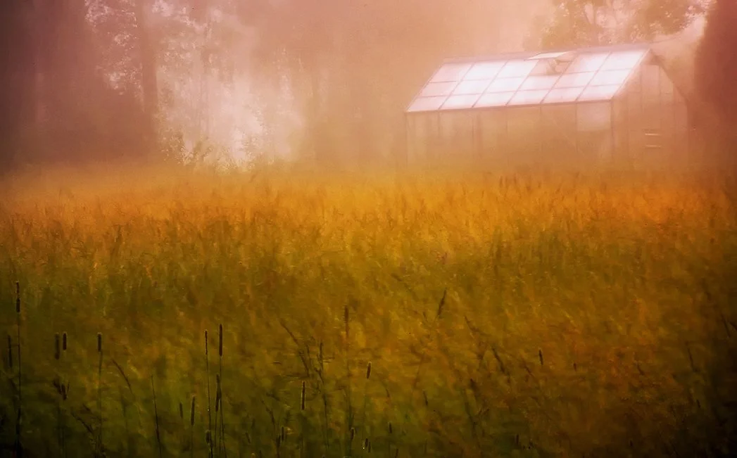 Greenhouse doubexpWeb.jpg