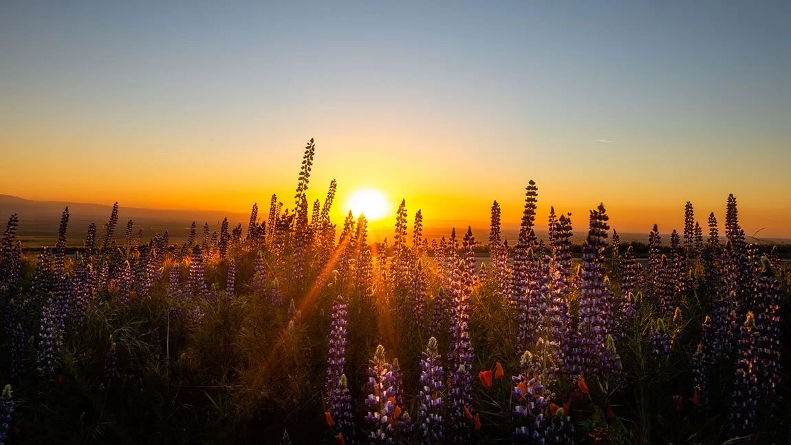 _GMC3721 Editcopy_Web.jpg