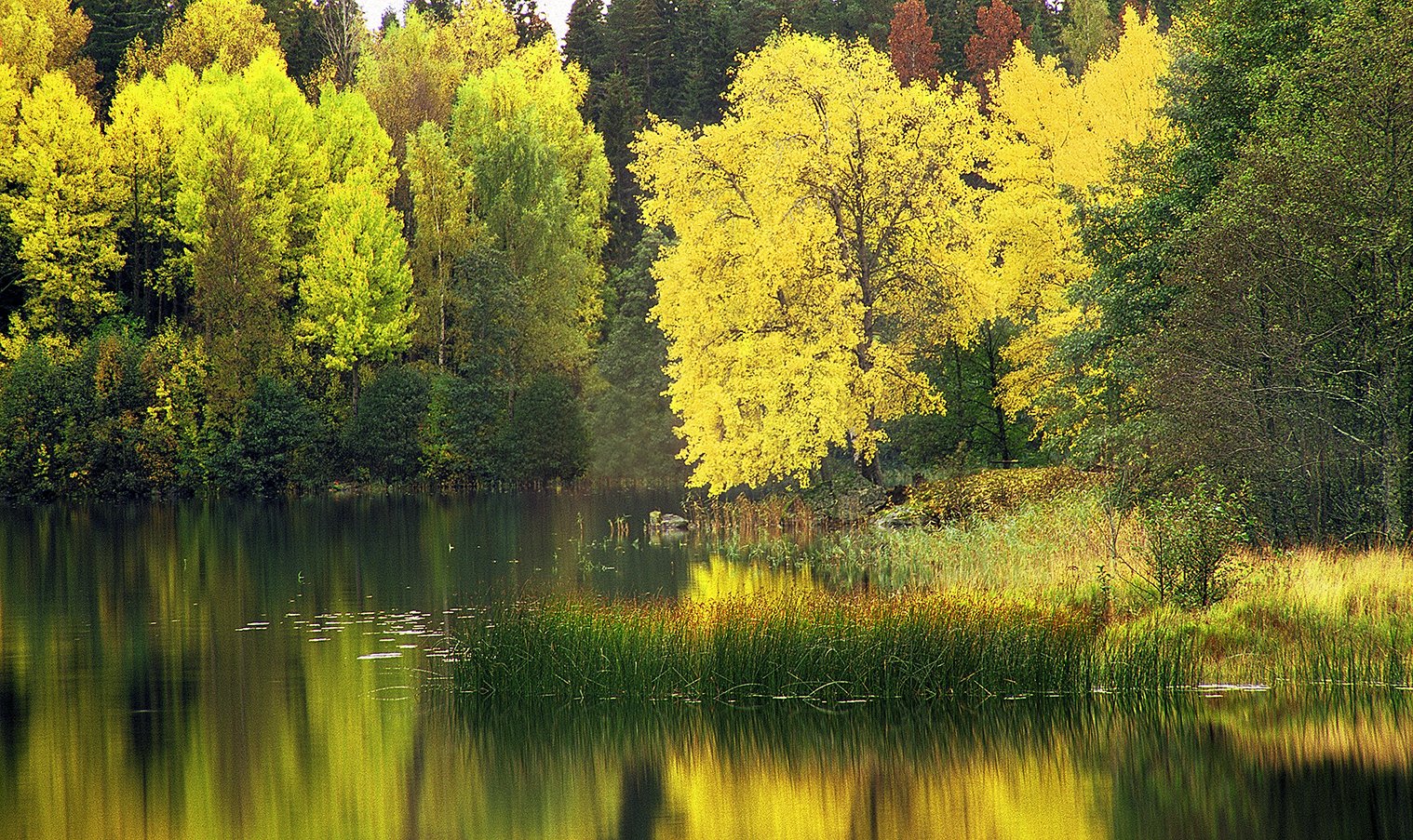 Sweden in Full Colors
