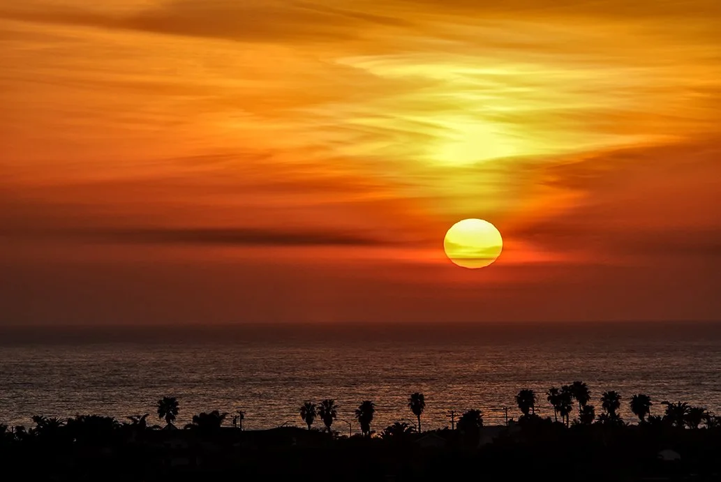 C'bad flower field Web.jpg