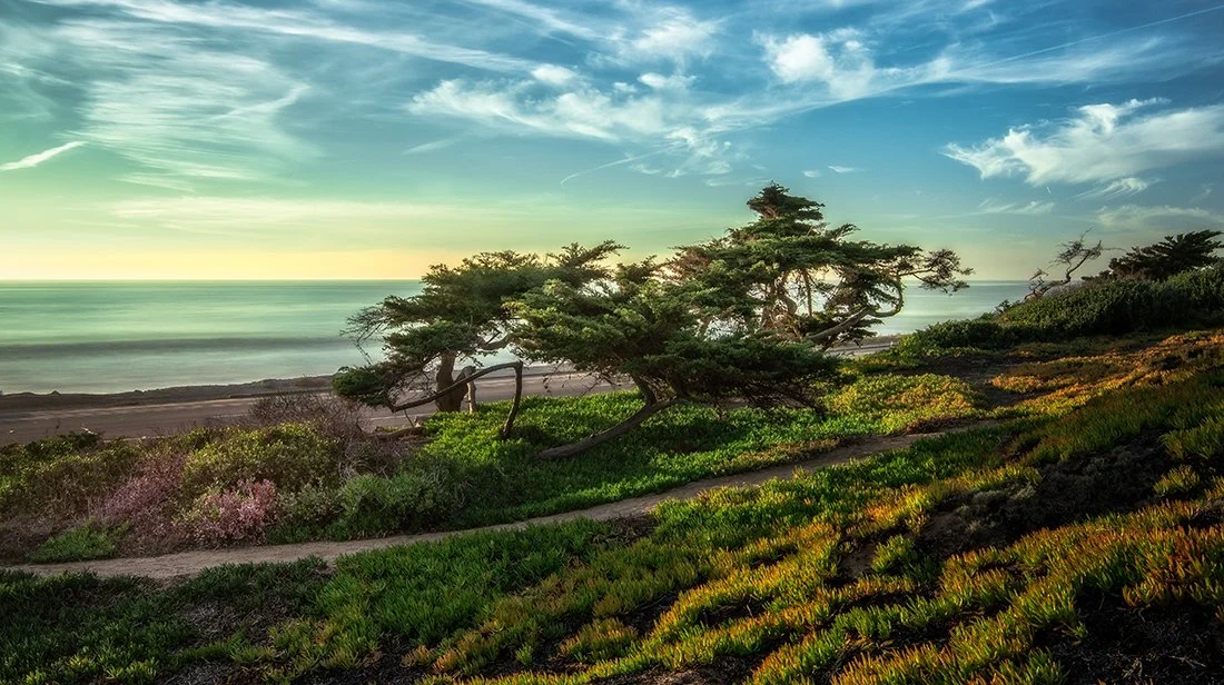 Carlsbad Coast Highway V2