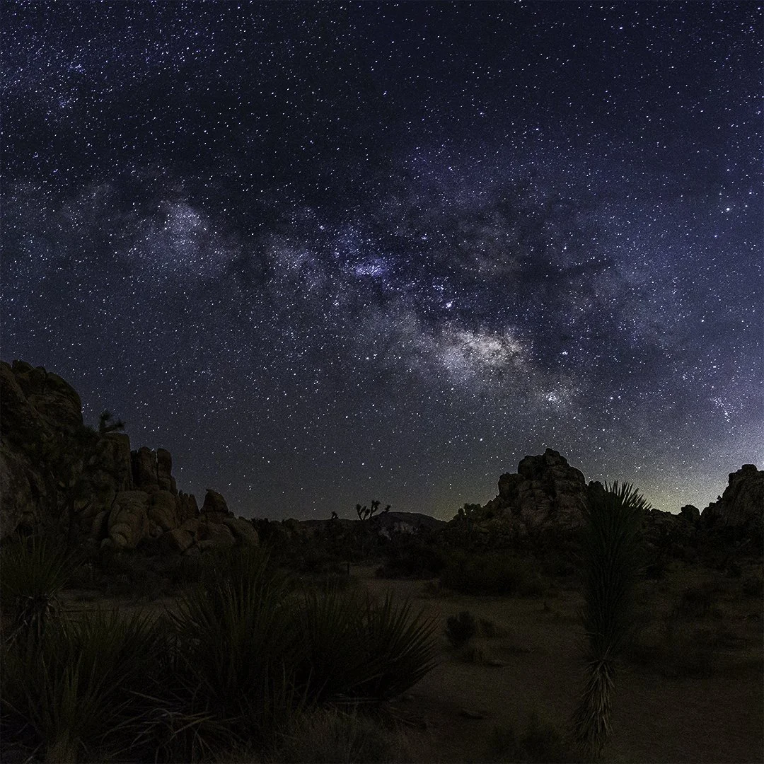 _GMC2131-Pano_WebV2.jpg