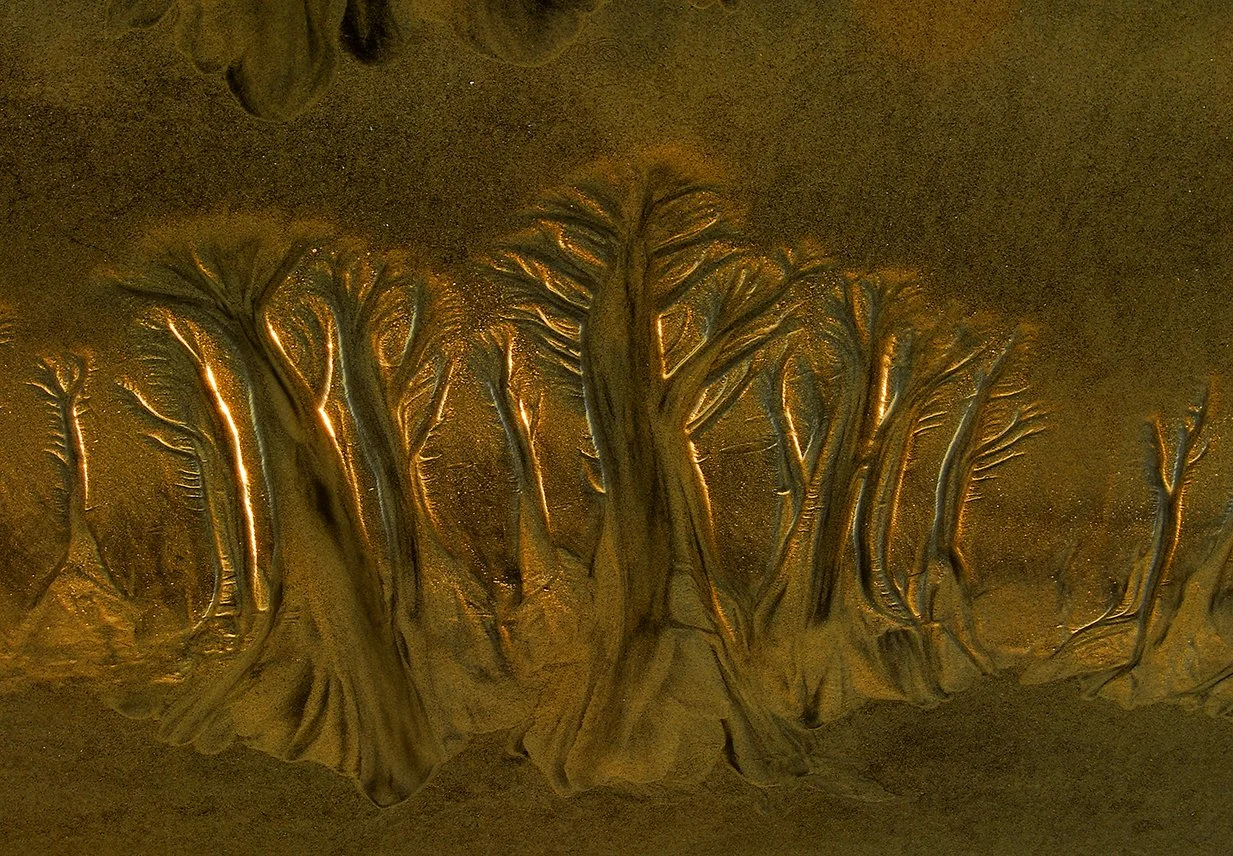 Sand Trees