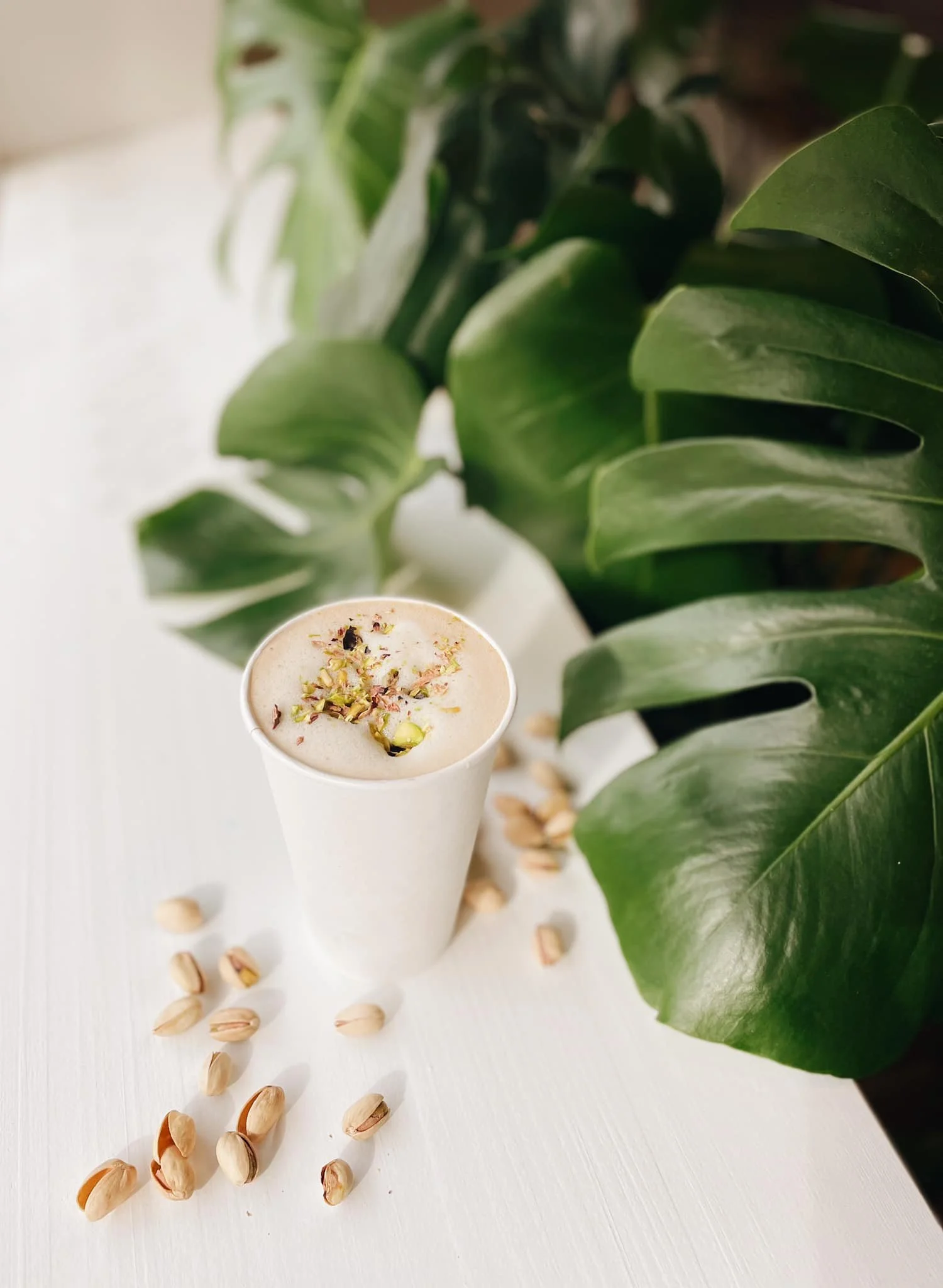 The Hub Coffee House + Cafe