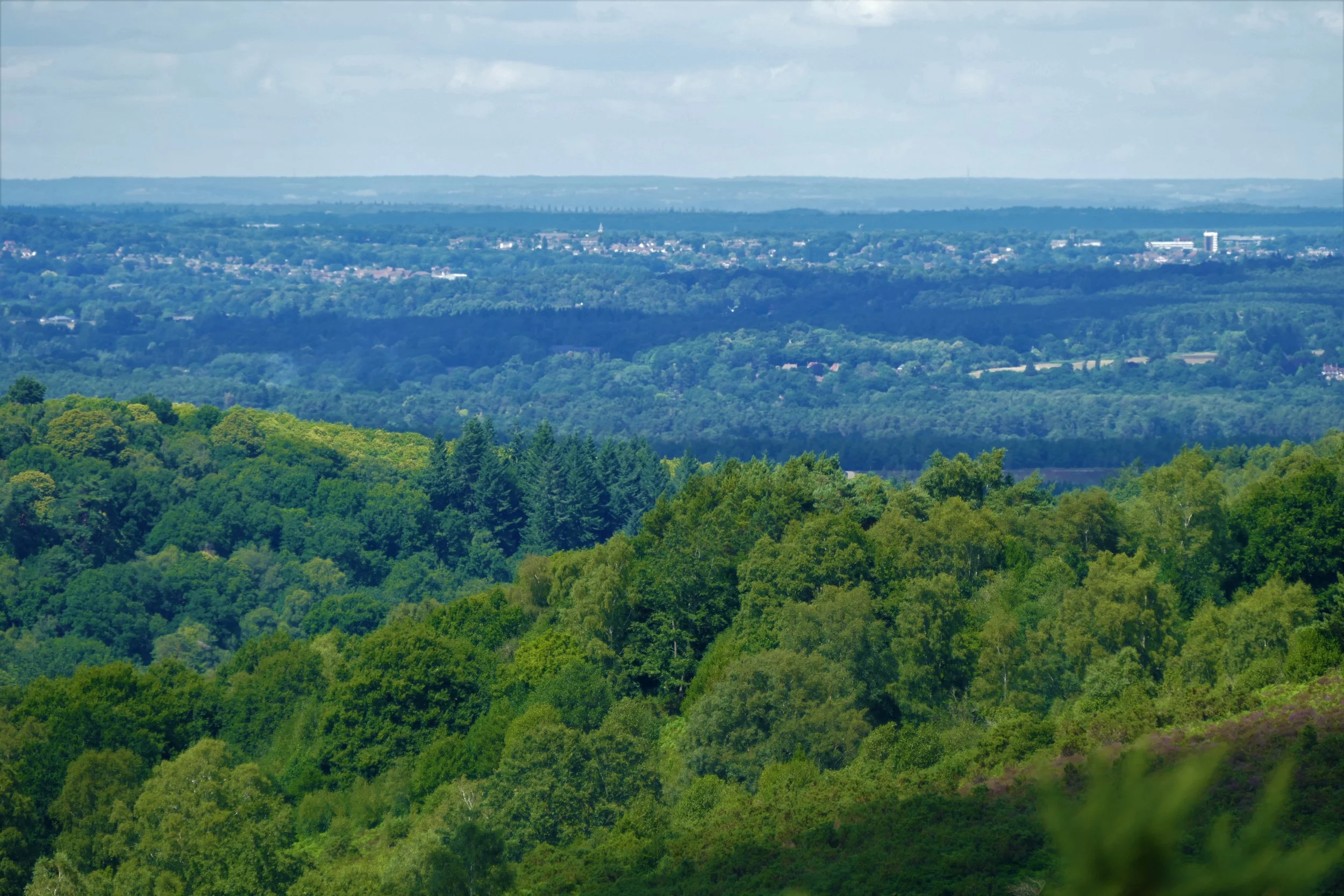 A walk for the whole family along the Devil's Punchbowl at Hindhead ...