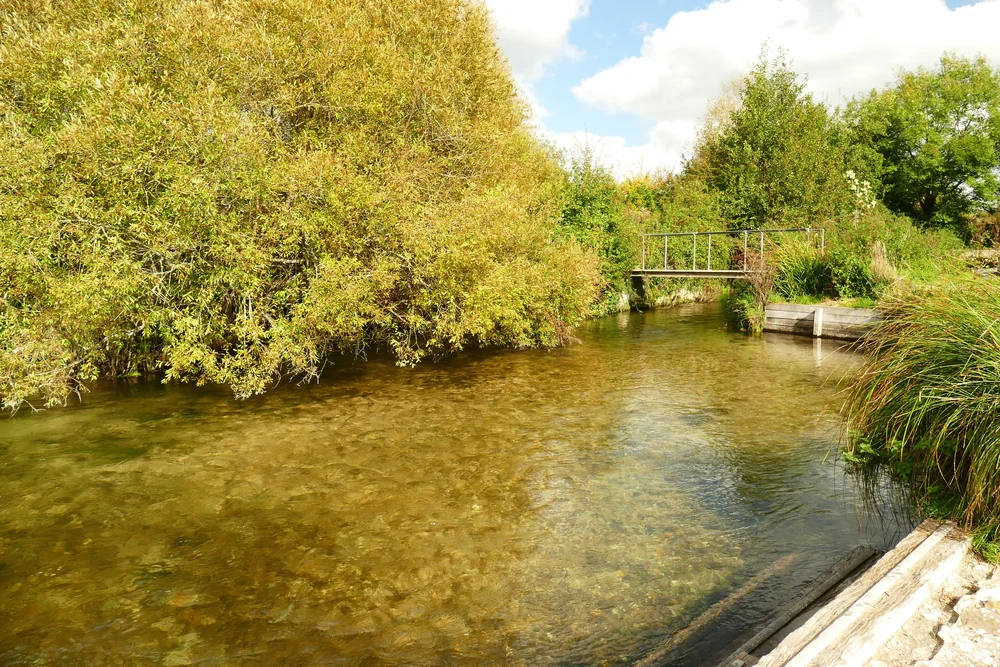 A collection of short and easy walks around The River Itchen in ...