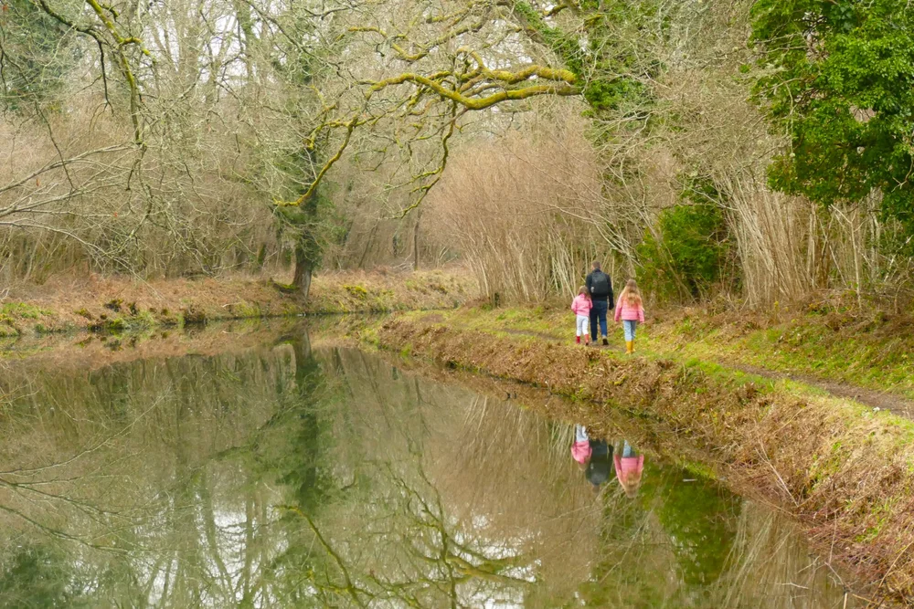 A collection of our favourite walks beside The Basingstoke Canal — The ...