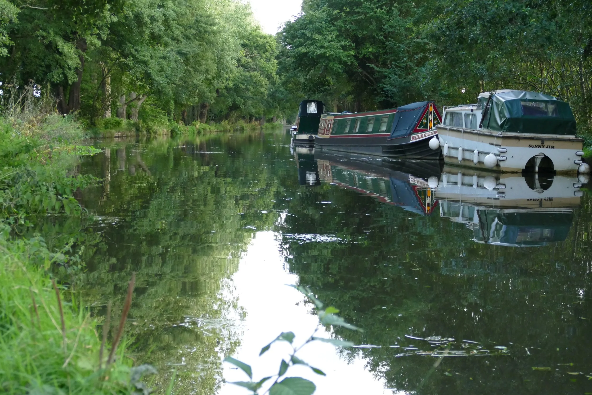 A walk for the whole family from Pyrford along The River Wey — The