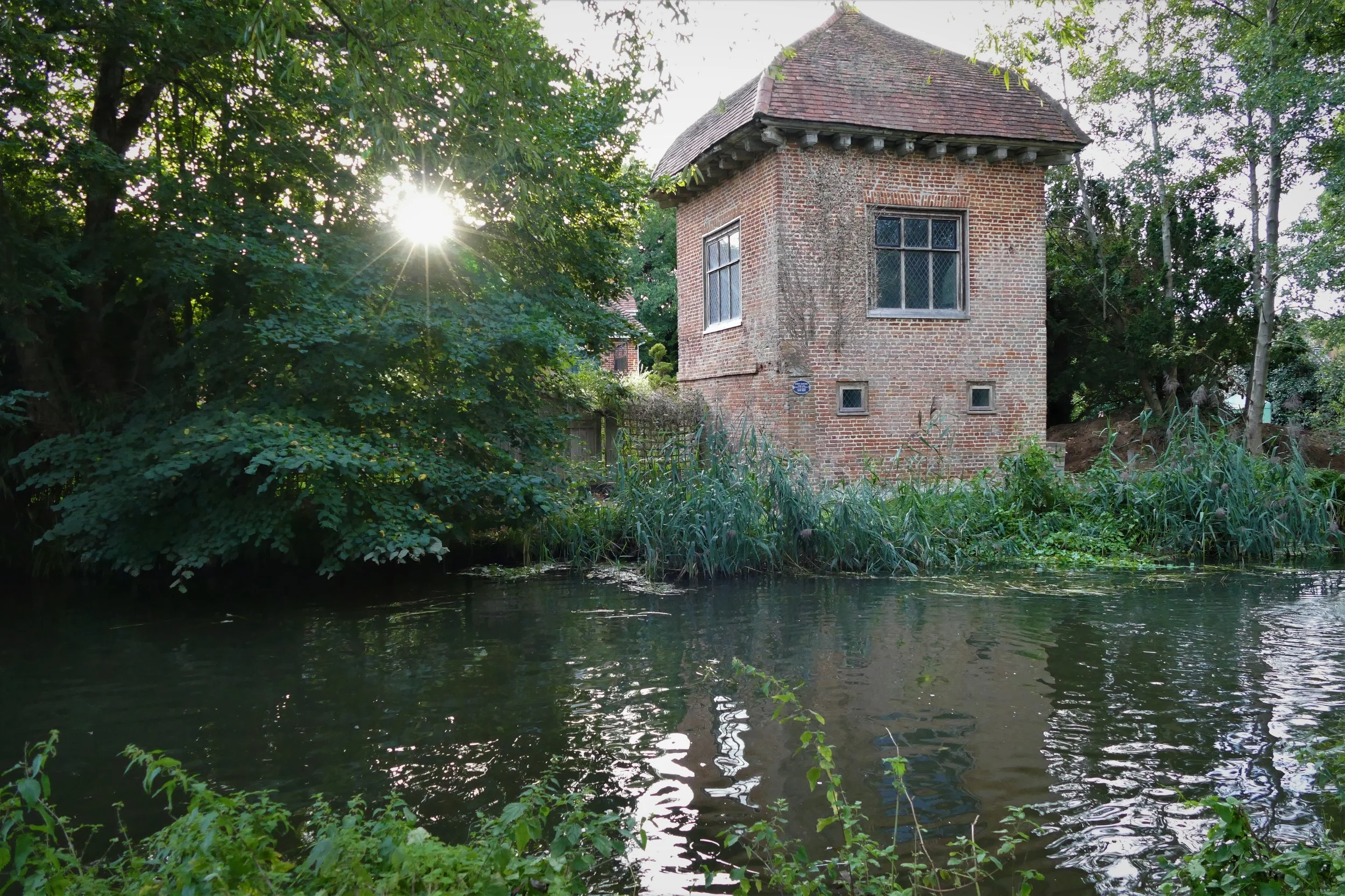 A walk for the whole family from Pyrford along The River Wey — The