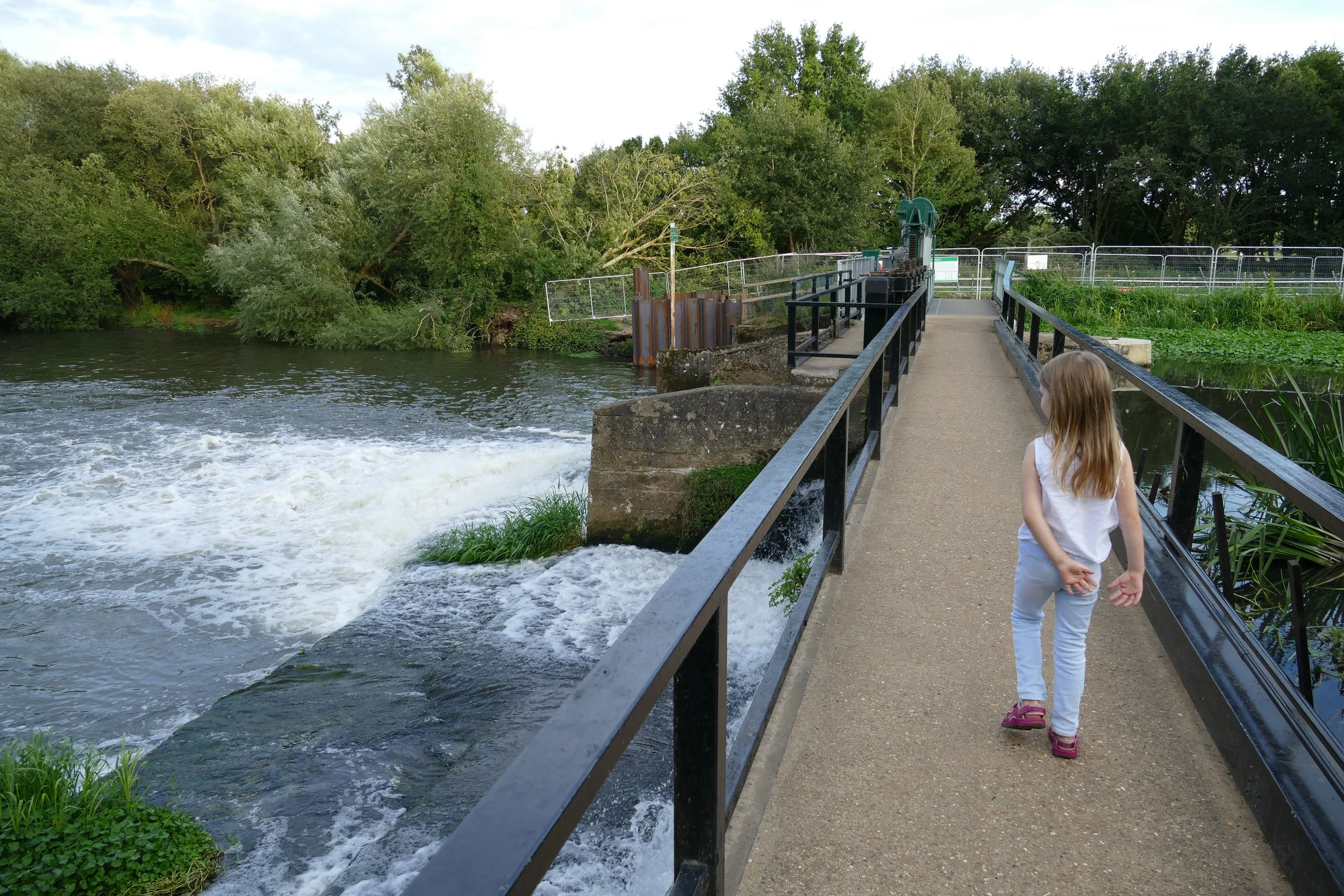 A walk for the whole family from Pyrford along The River Wey — The