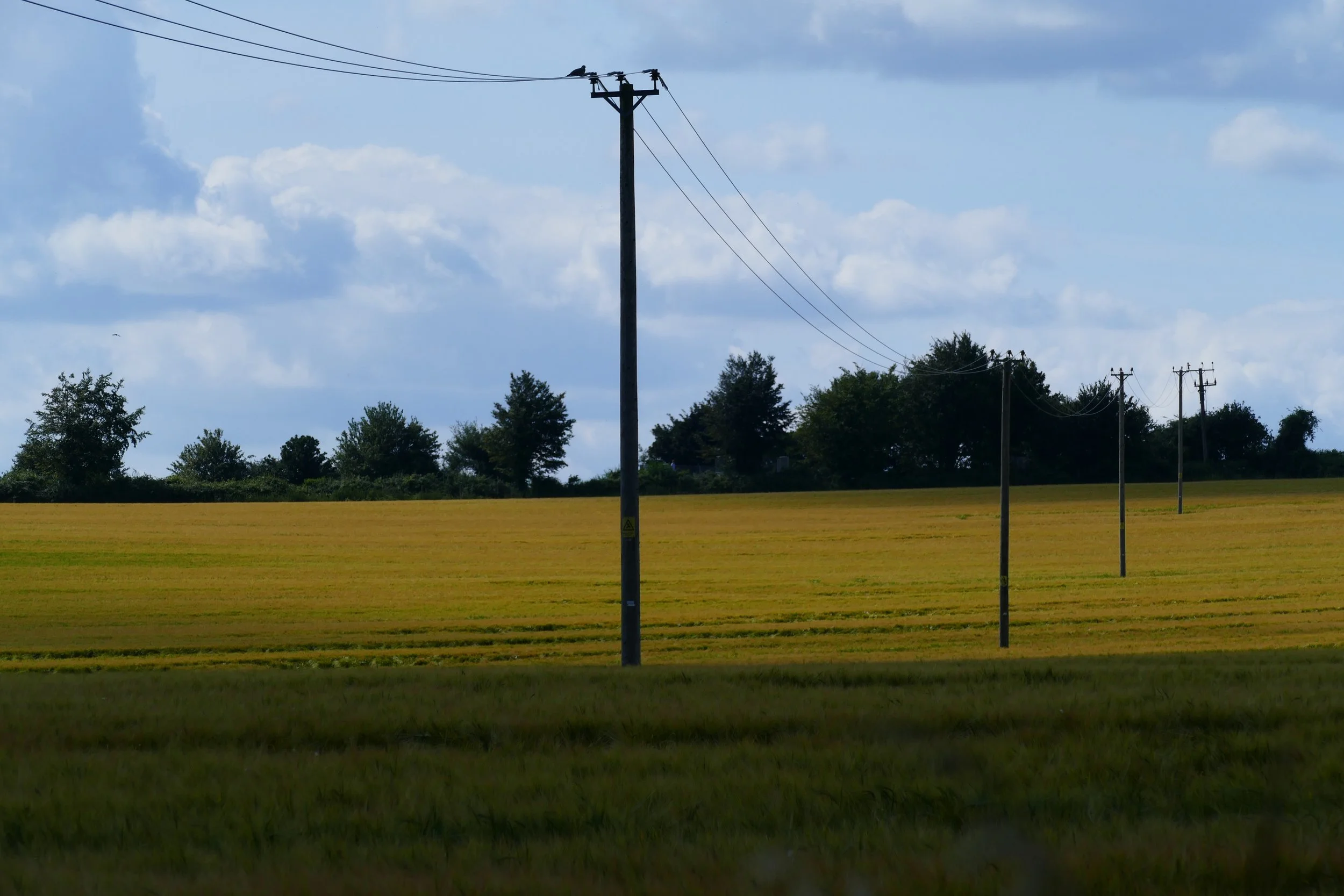 A circular walk for the whole family around Clanfield, Waterlooville