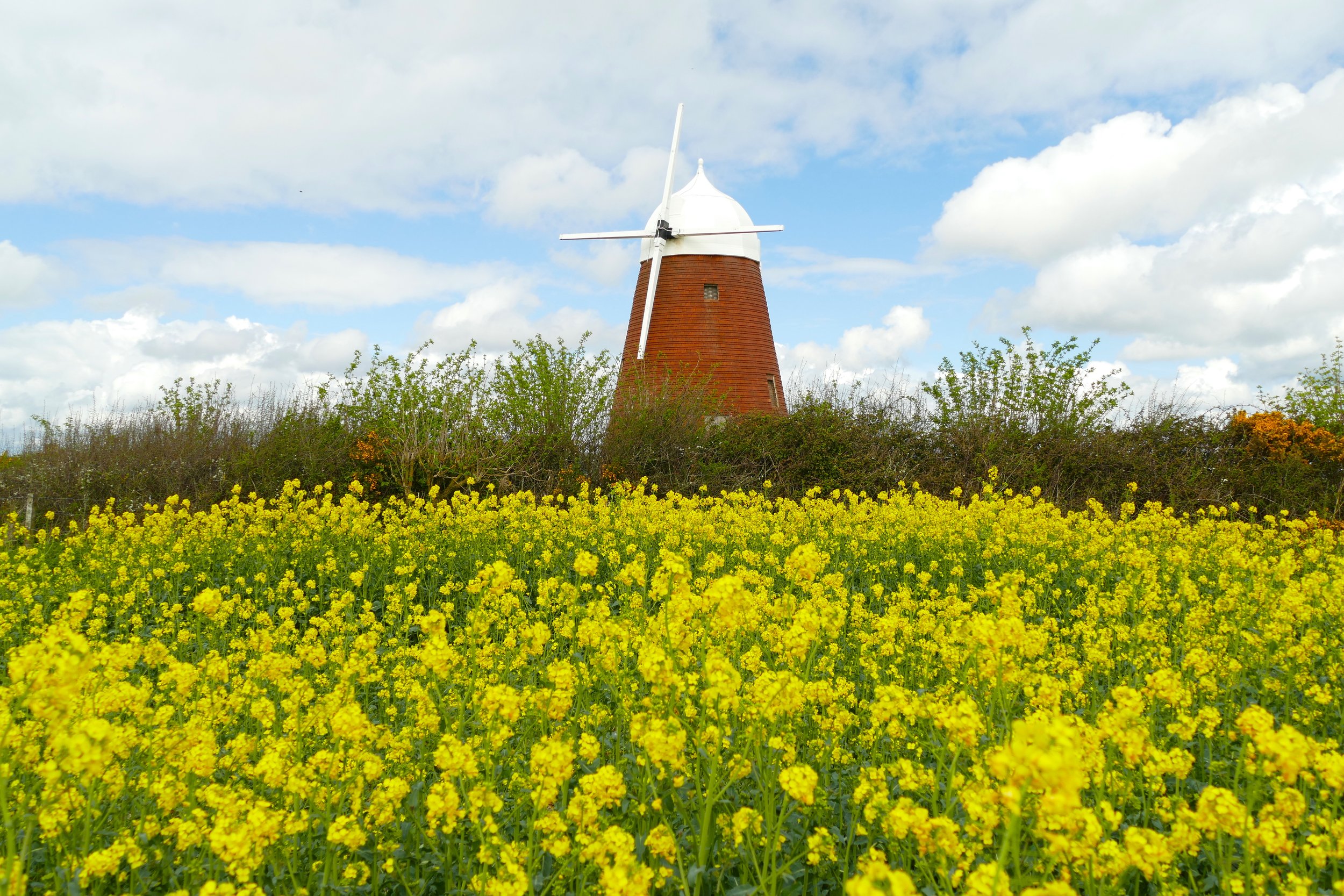 Windmill 1.JPG