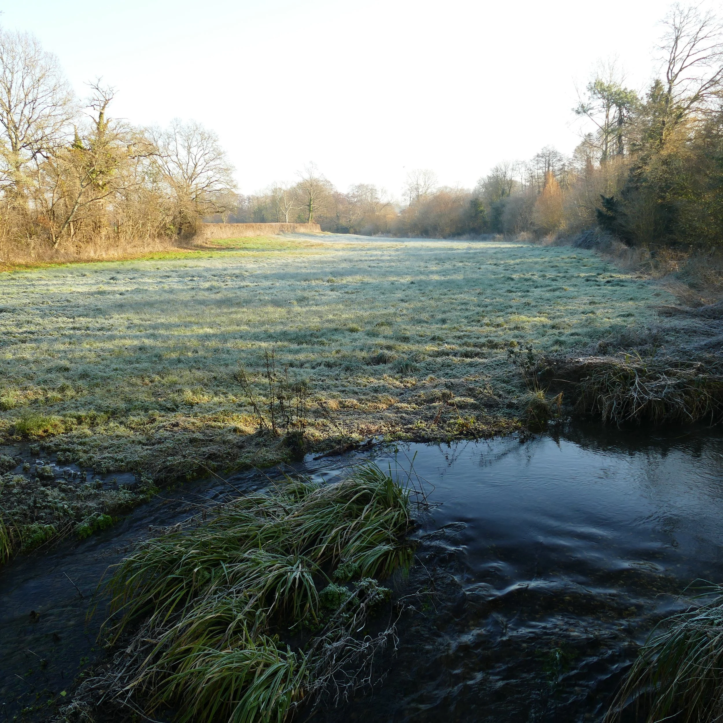 A walk for the whole family around The Southwick Estate — The Ambling